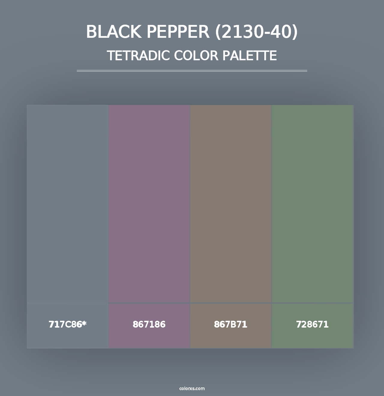 Black Pepper (2130-40) - Tetradic Color Palette