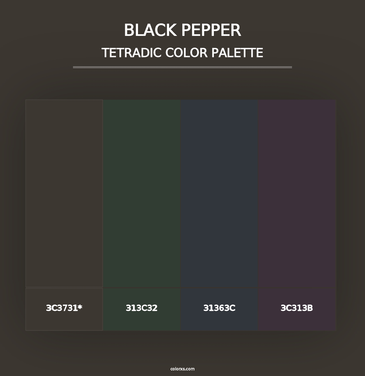 Black Pepper - Tetradic Color Palette