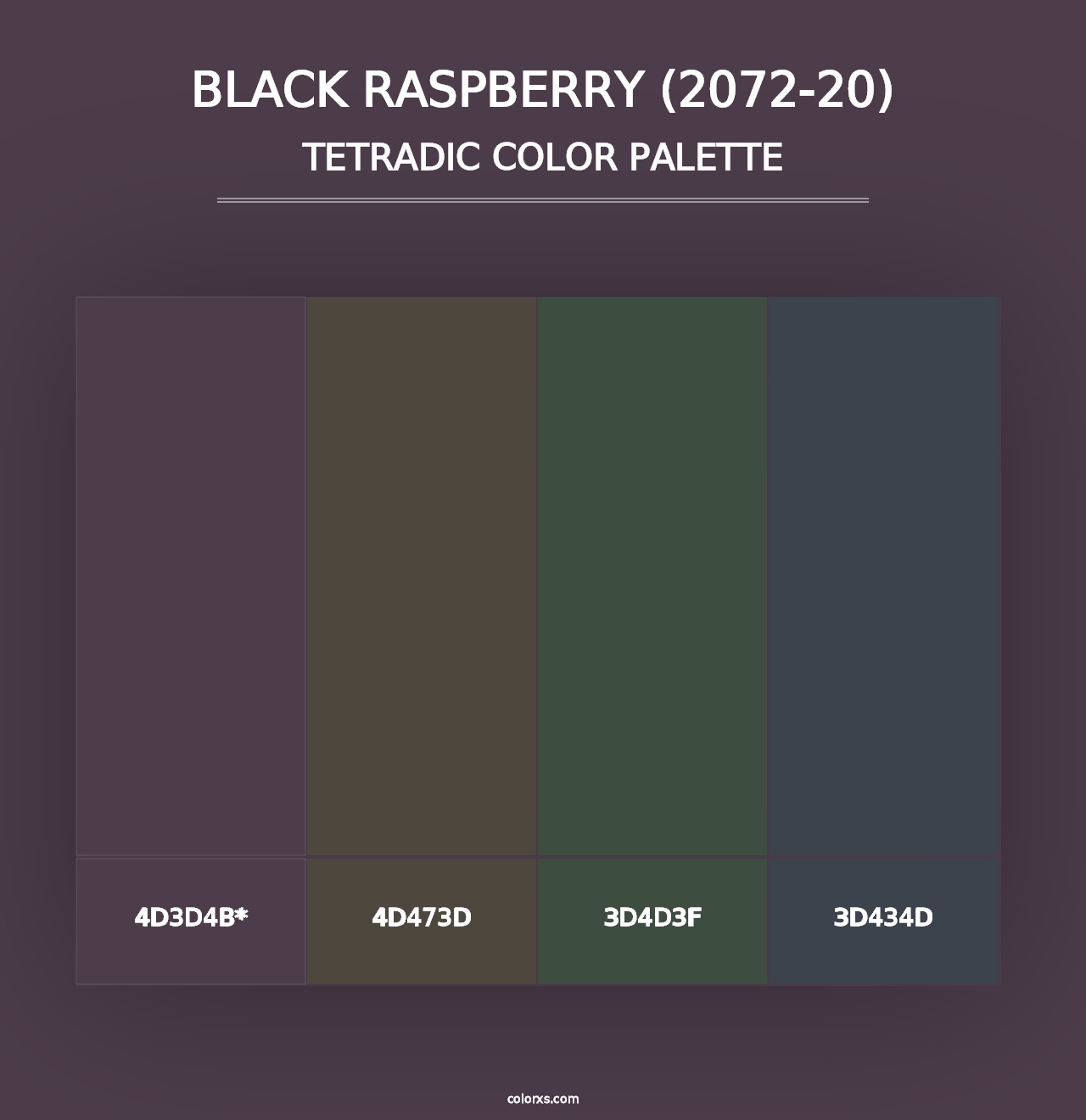 Black Raspberry (2072-20) - Tetradic Color Palette