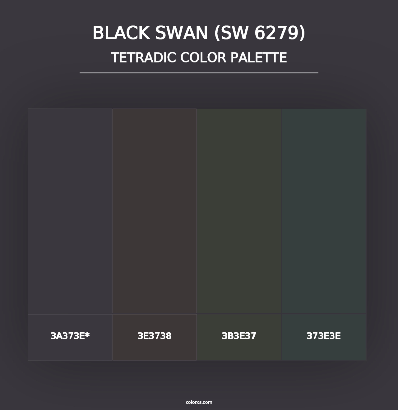 Black Swan (SW 6279) - Tetradic Color Palette