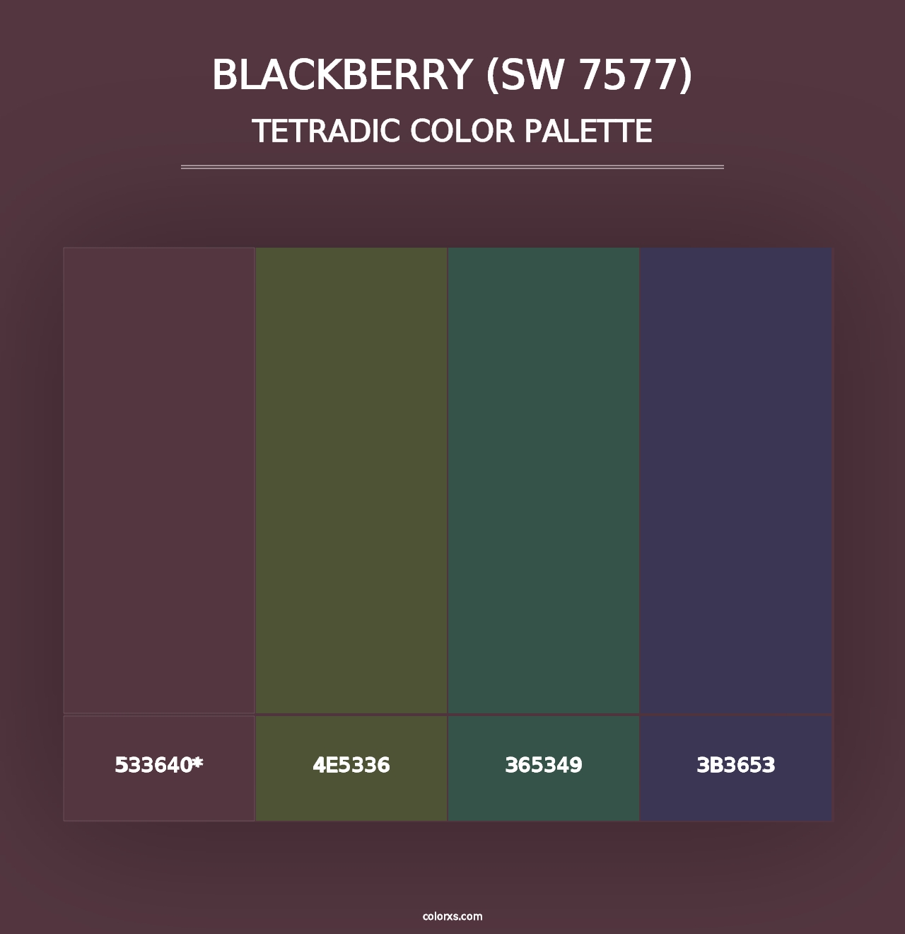 Blackberry (SW 7577) - Tetradic Color Palette