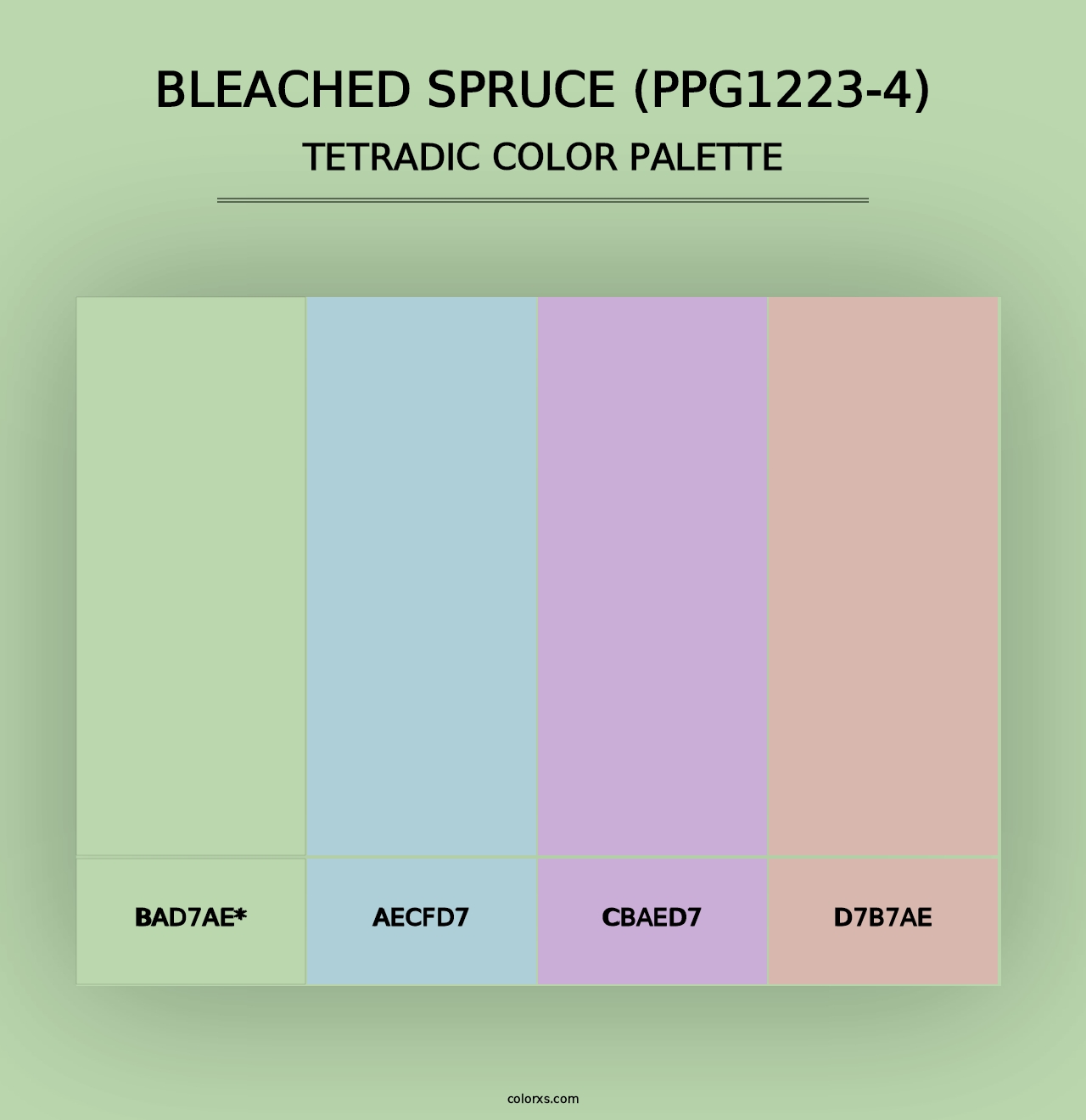 Bleached Spruce (PPG1223-4) - Tetradic Color Palette