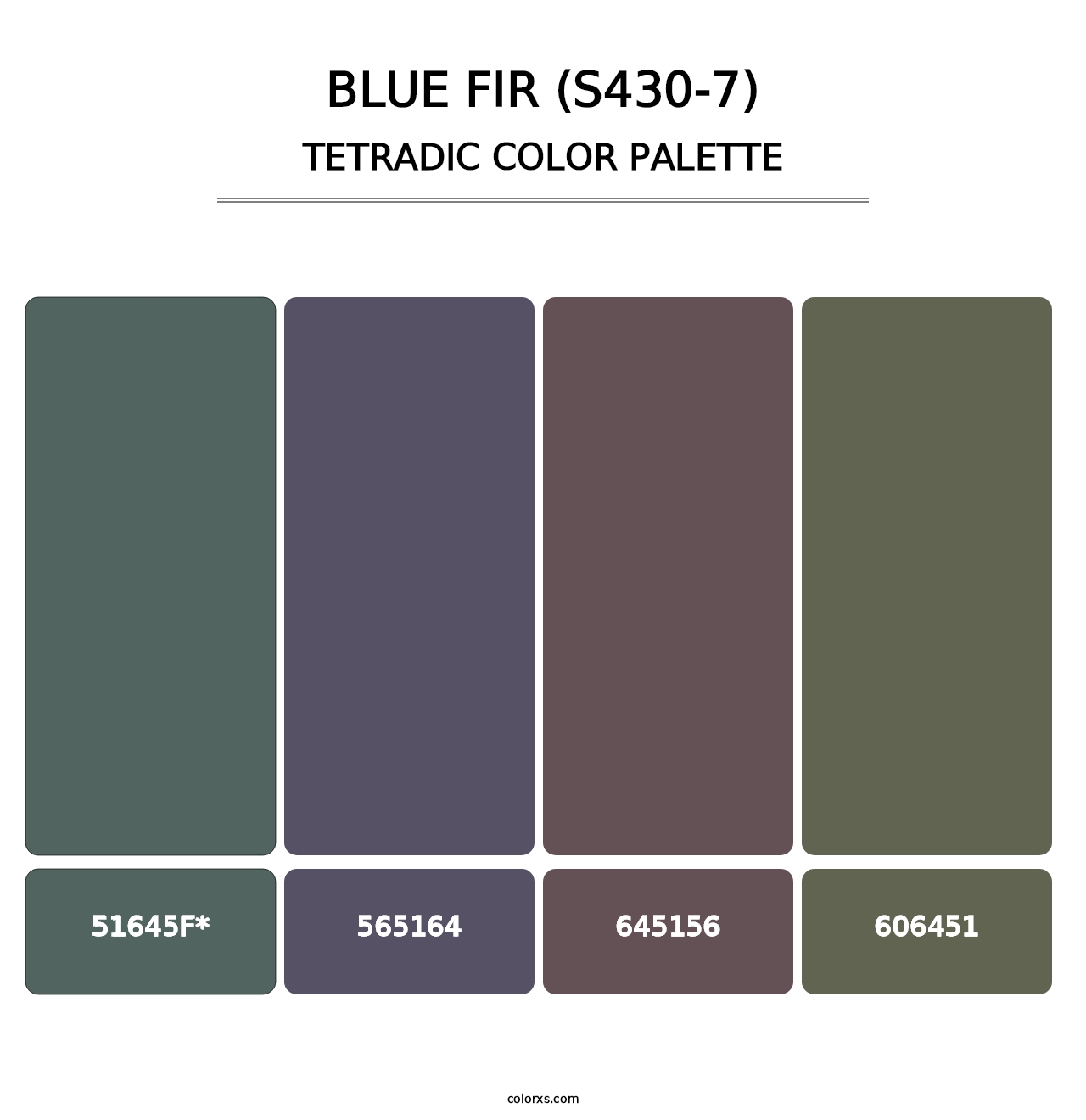 Blue Fir (S430-7) - Tetradic Color Palette