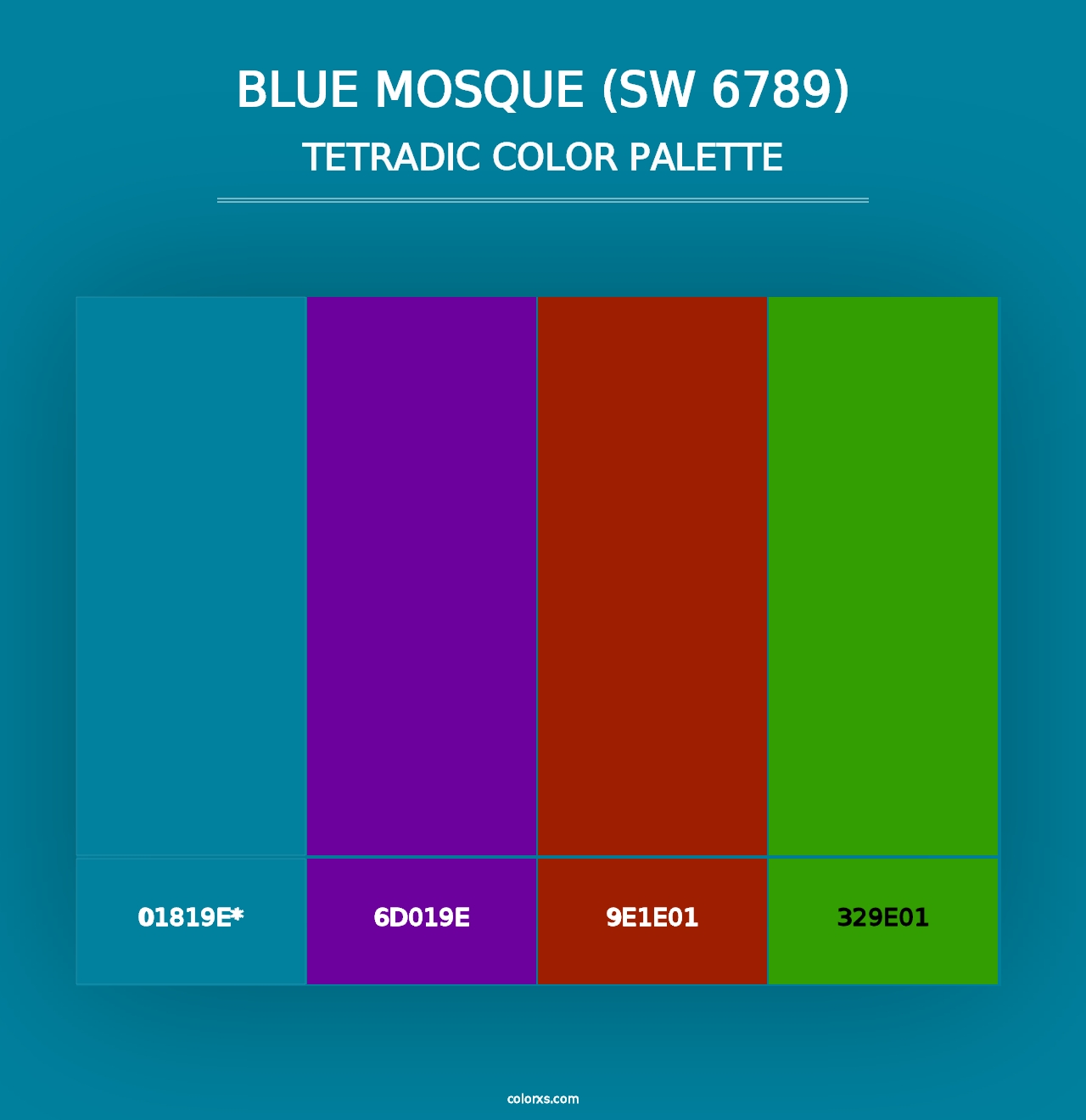 Blue Mosque (SW 6789) - Tetradic Color Palette