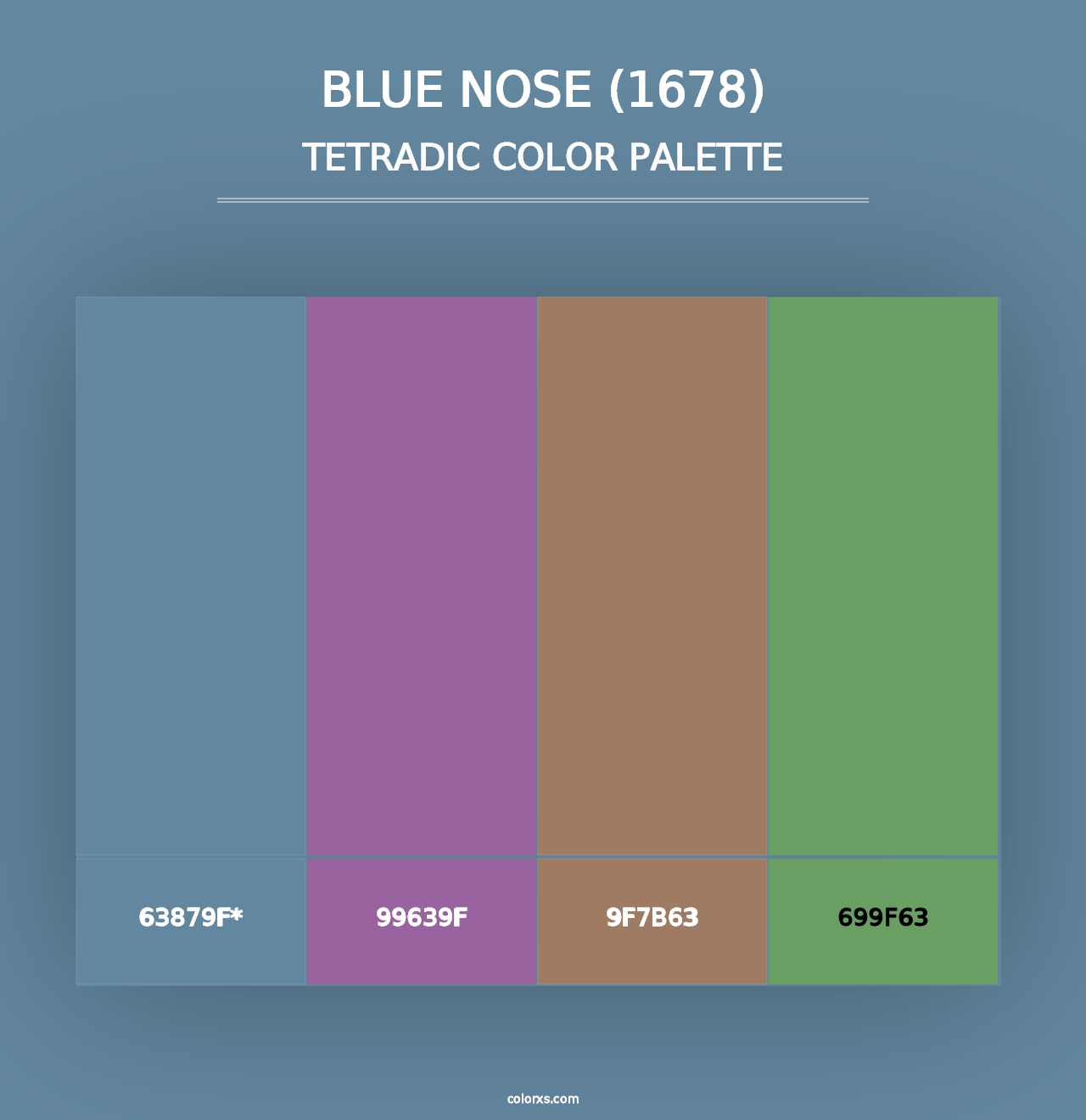 Blue Nose (1678) - Tetradic Color Palette