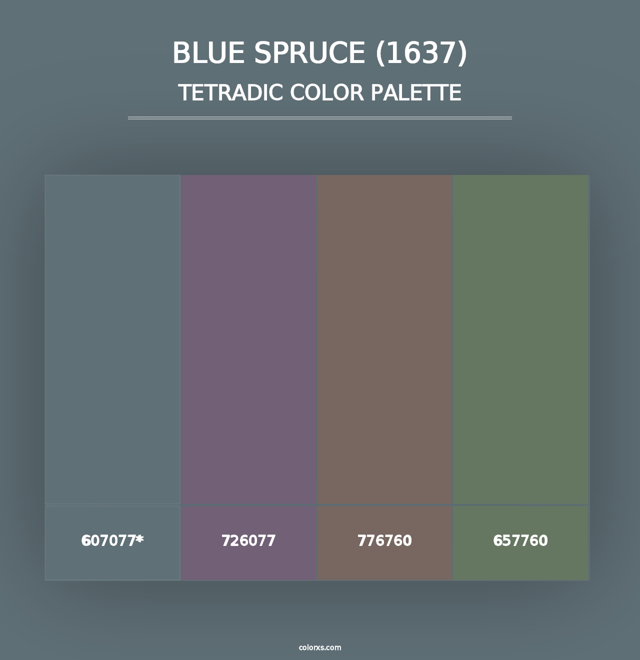 Blue Spruce (1637) - Tetradic Color Palette