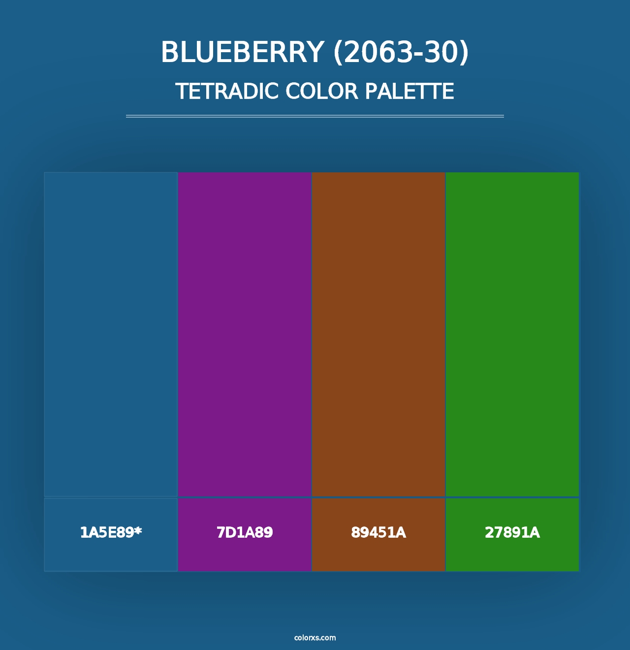 Blueberry (2063-30) - Tetradic Color Palette