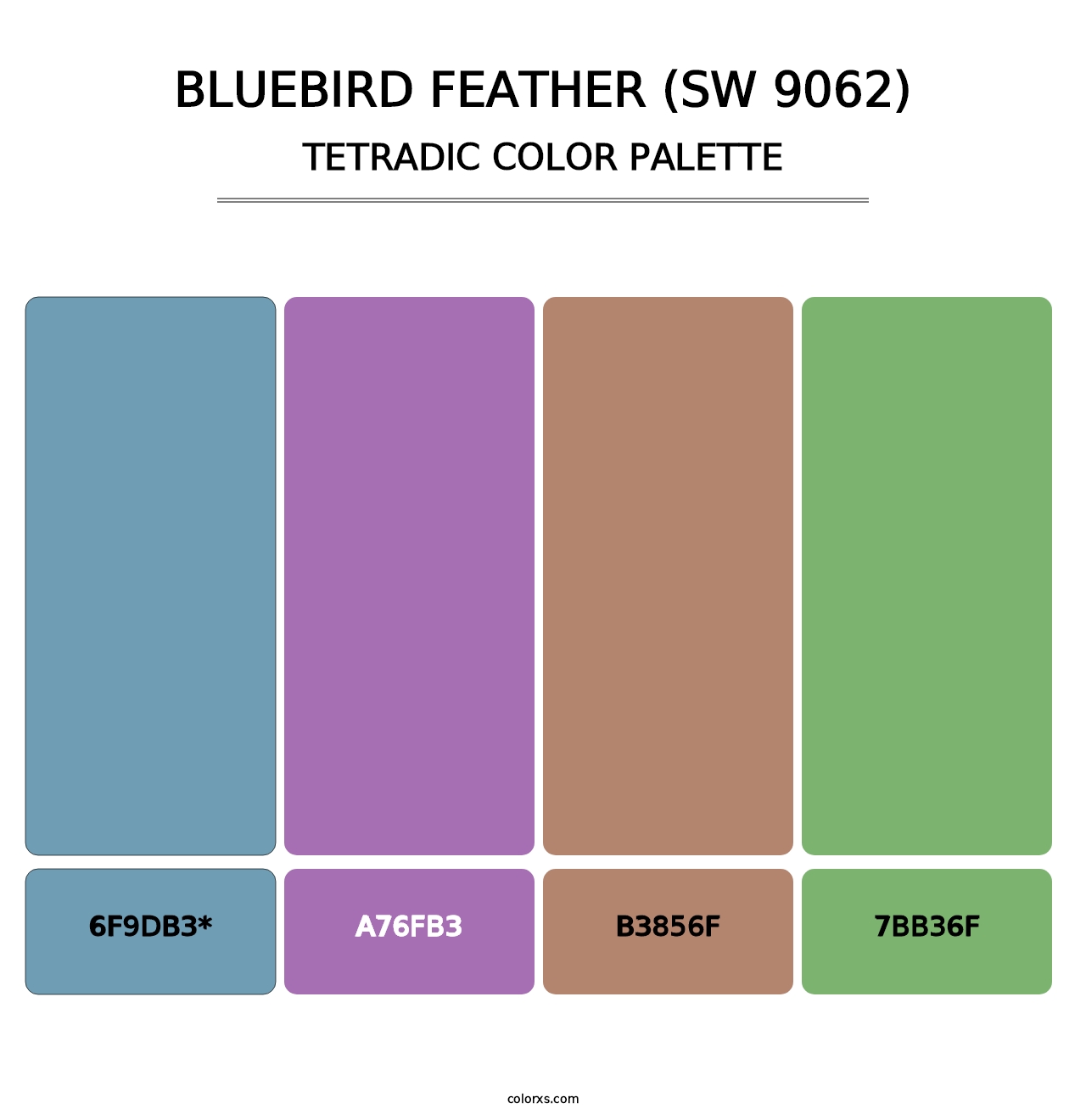 Bluebird Feather (SW 9062) - Tetradic Color Palette