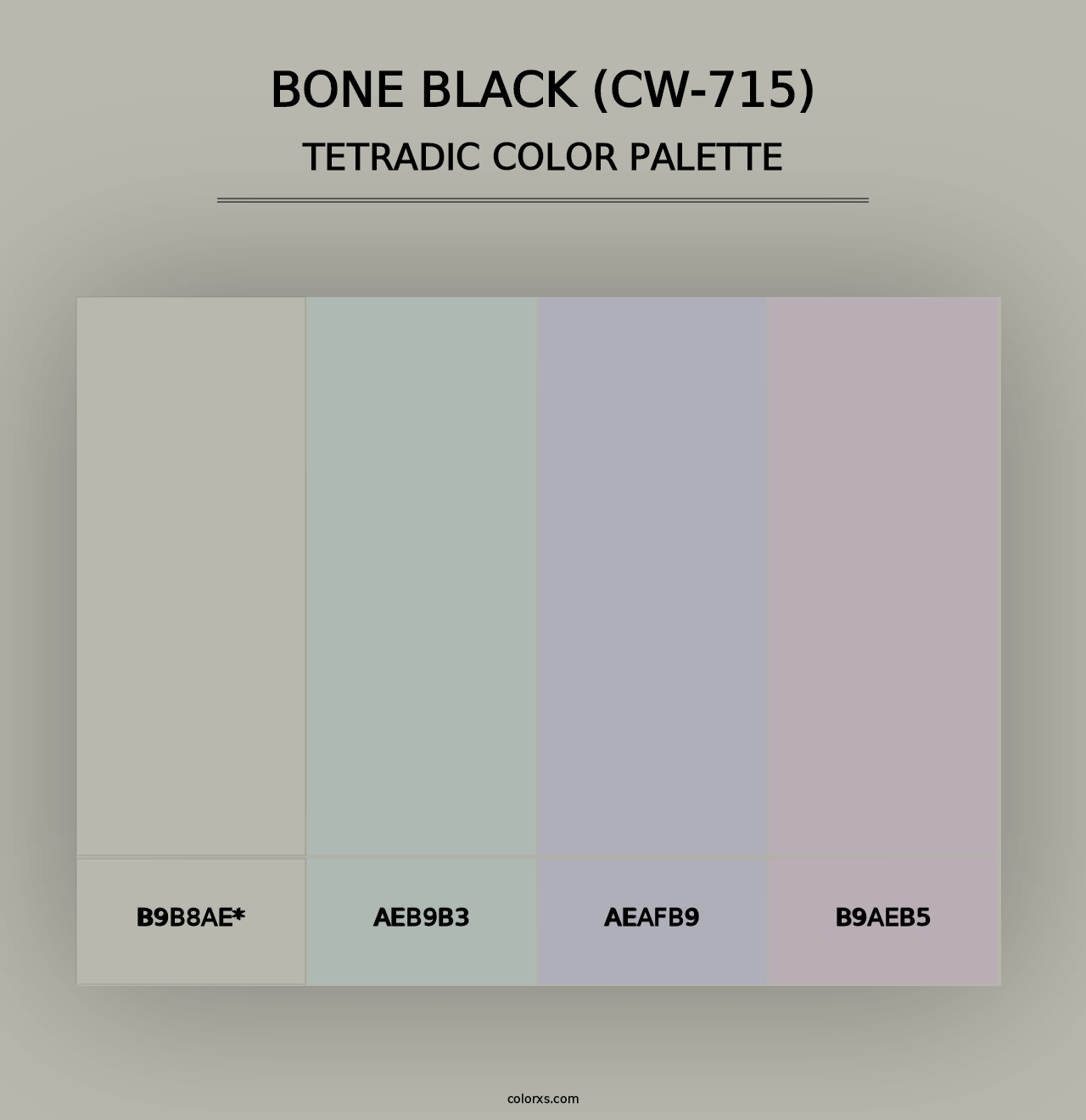 Bone Black (CW-715) - Tetradic Color Palette