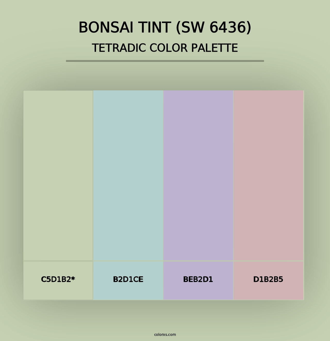 Bonsai Tint (SW 6436) - Tetradic Color Palette