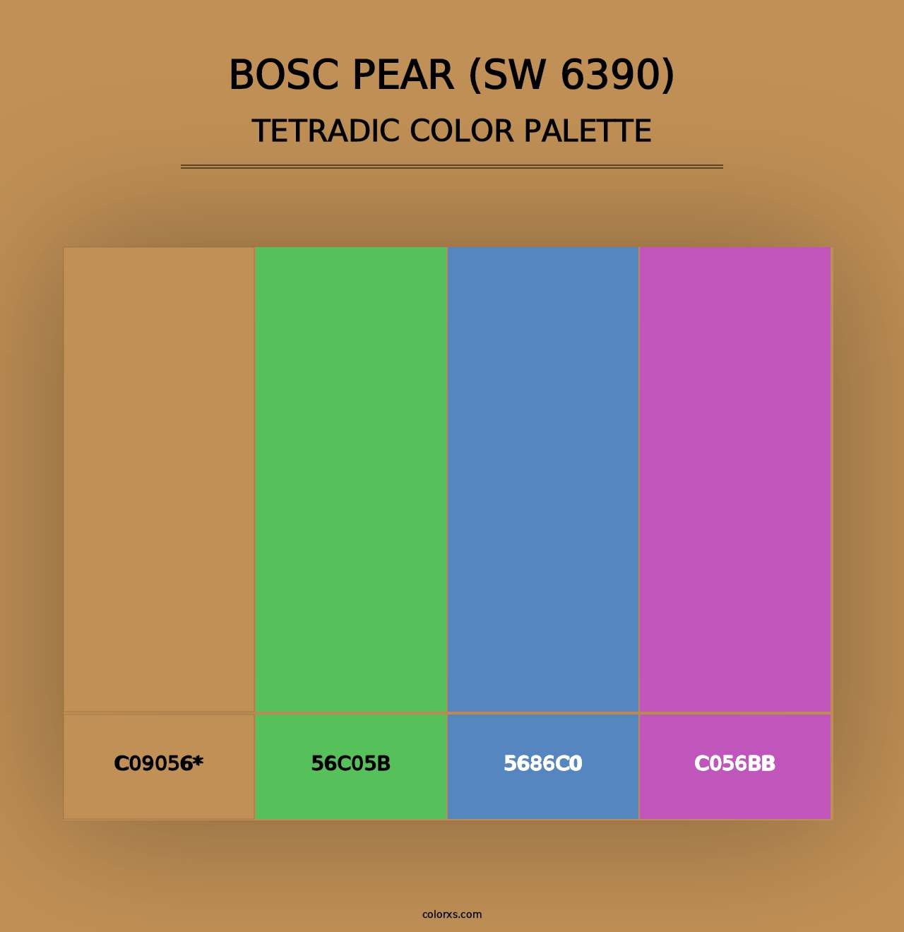 Bosc Pear (SW 6390) - Tetradic Color Palette