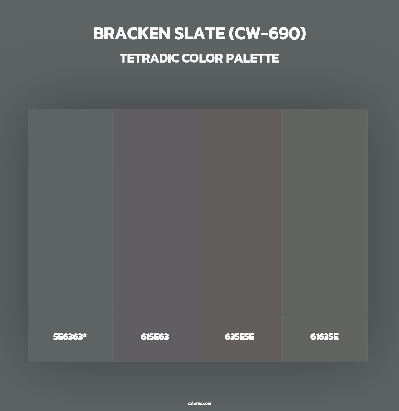 Bracken Slate (CW-690) - Tetradic Color Palette