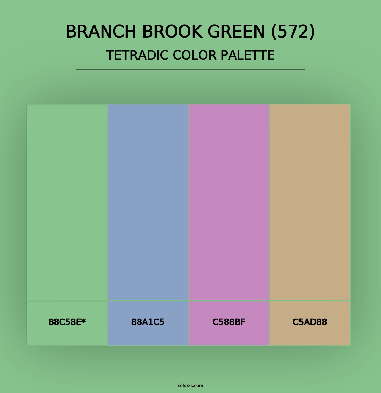 Branch Brook Green (572) - Tetradic Color Palette