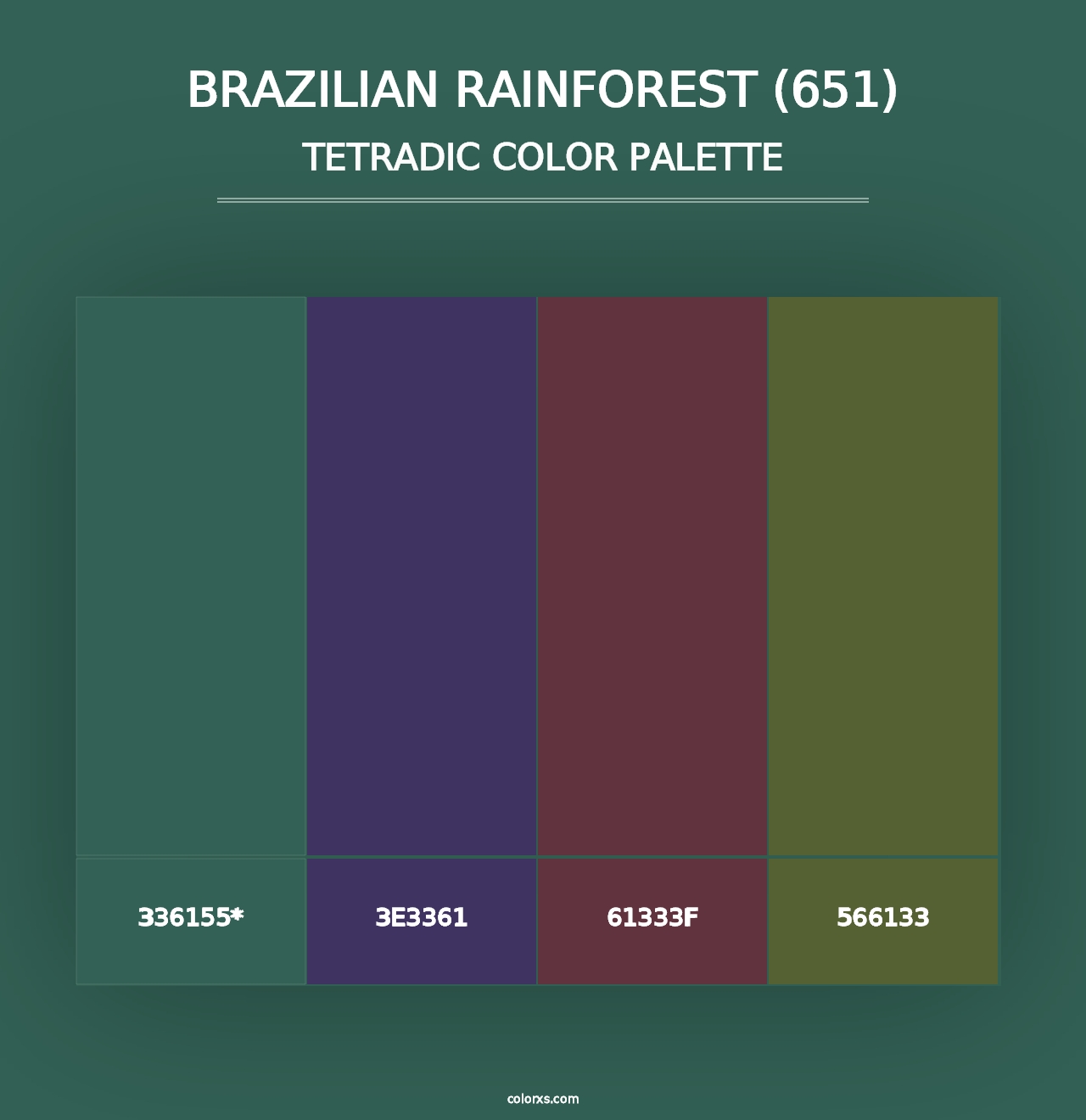 Brazilian Rainforest (651) - Tetradic Color Palette