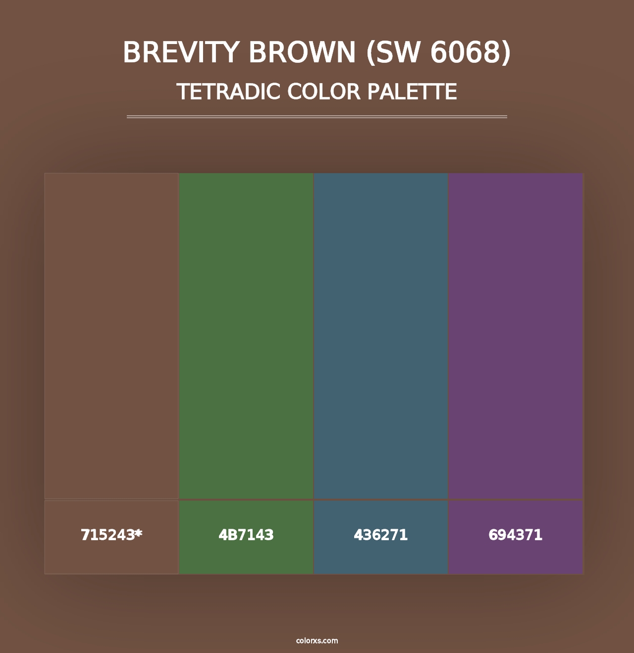 Brevity Brown (SW 6068) - Tetradic Color Palette