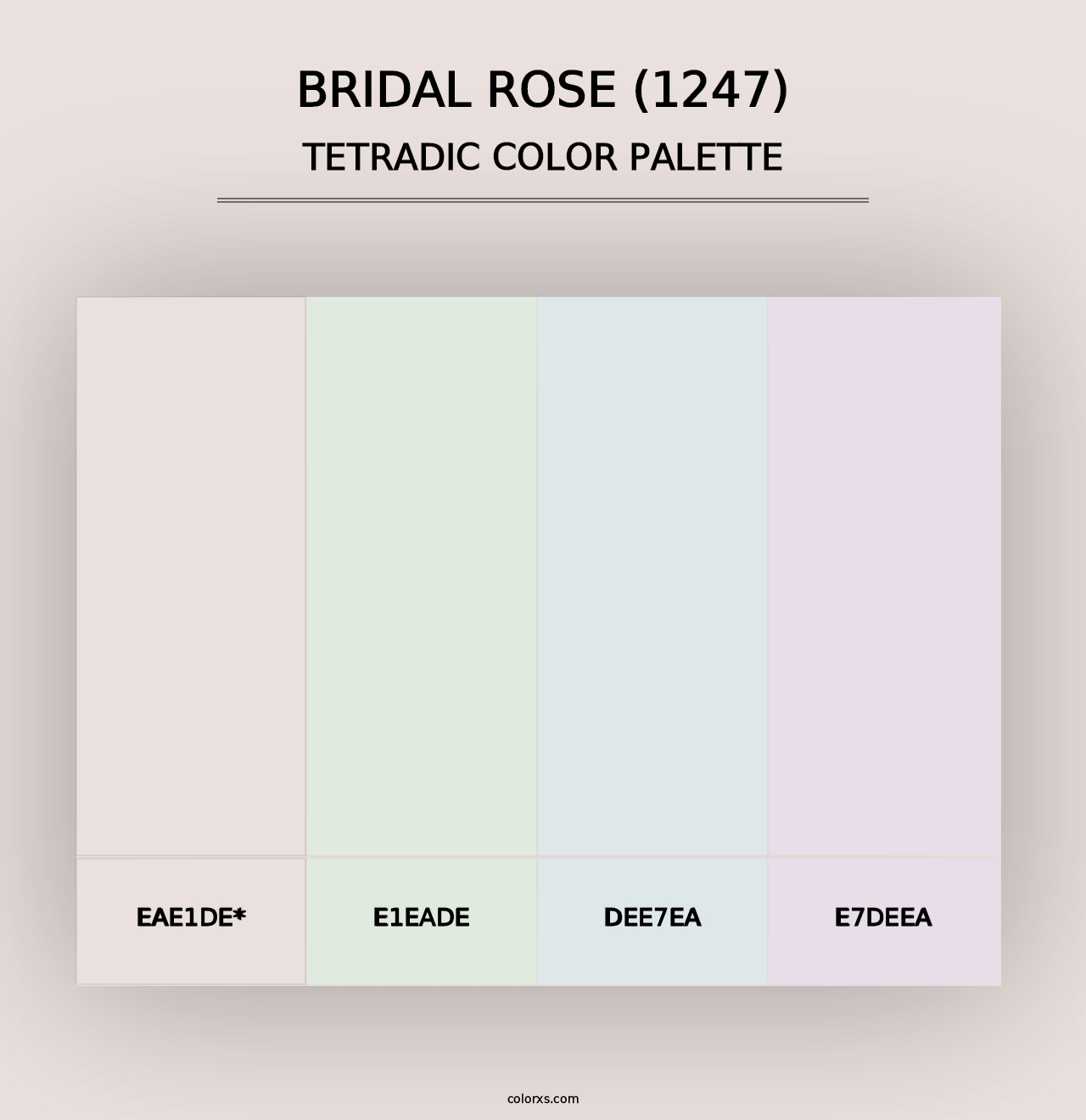 Bridal Rose (1247) - Tetradic Color Palette