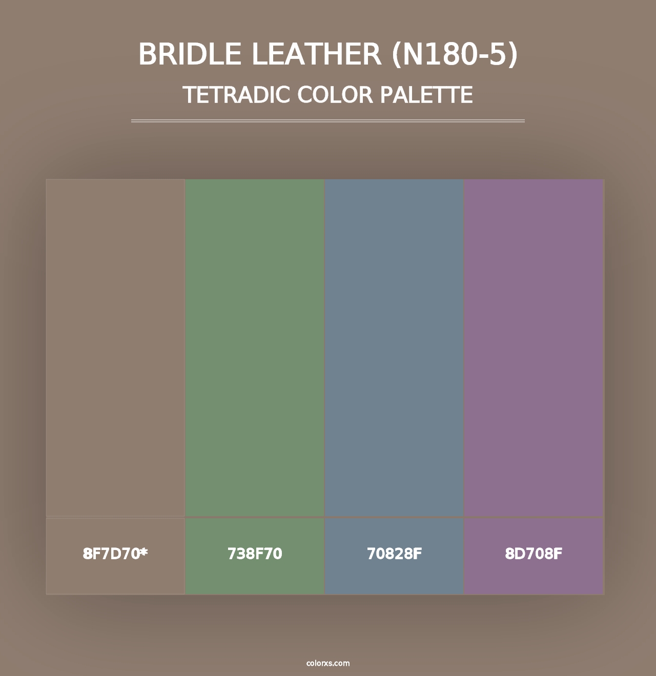 Bridle Leather (N180-5) - Tetradic Color Palette