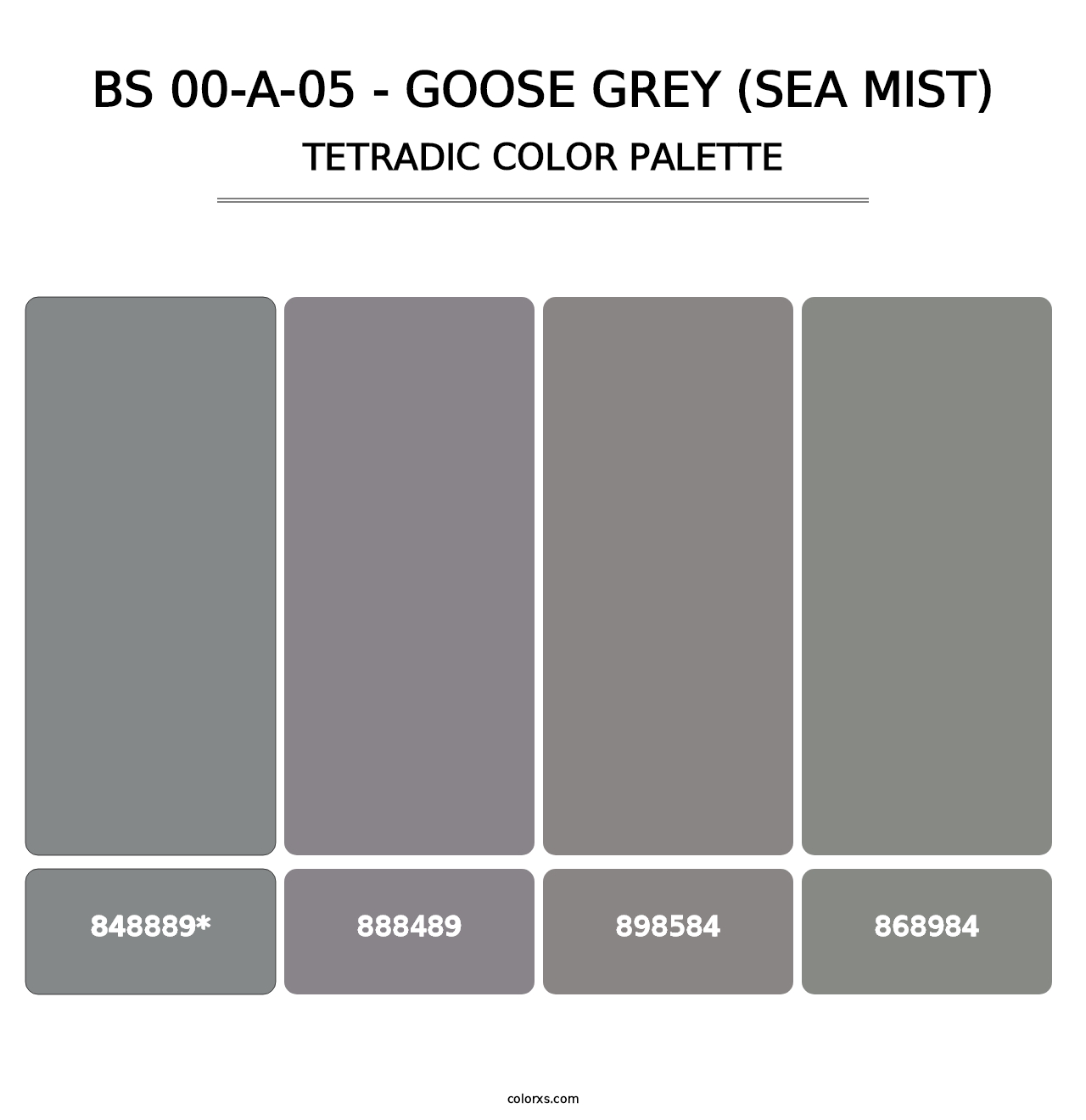 BS 00-A-05 - Goose Grey (Sea Mist) - Tetradic Color Palette