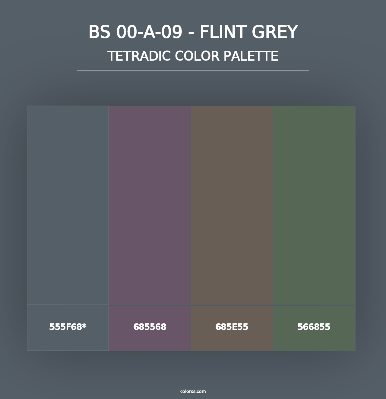 BS 00-A-09 - Flint Grey - Tetradic Color Palette