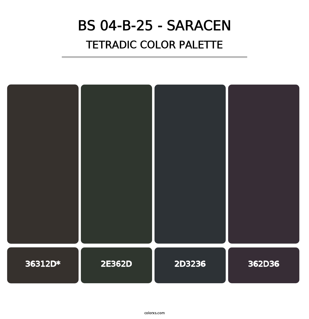 BS 04-B-25 - Saracen - Tetradic Color Palette