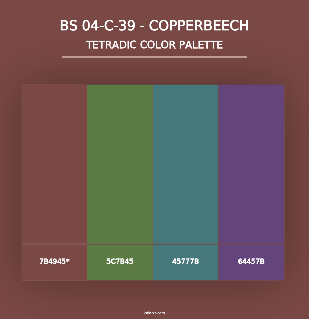 BS 04-C-39 - Copperbeech - Tetradic Color Palette