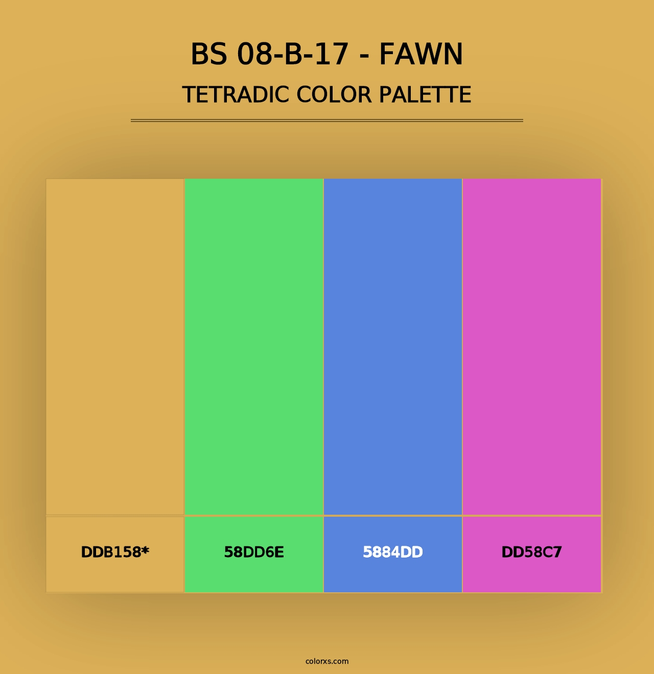 BS 08-B-17 - Fawn - Tetradic Color Palette