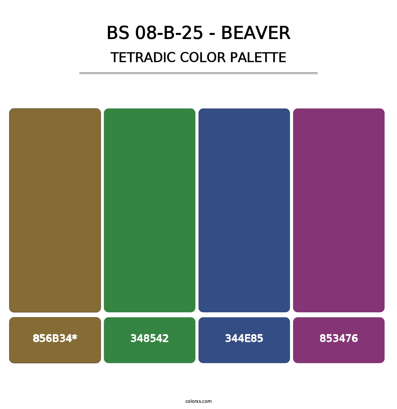 BS 08-B-25 - Beaver - Tetradic Color Palette