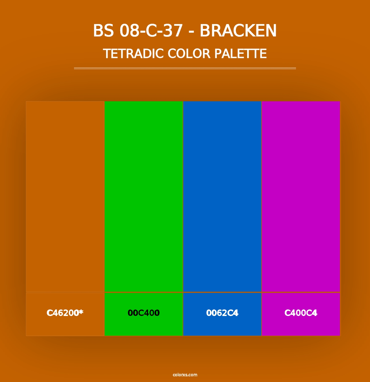 BS 08-C-37 - Bracken - Tetradic Color Palette