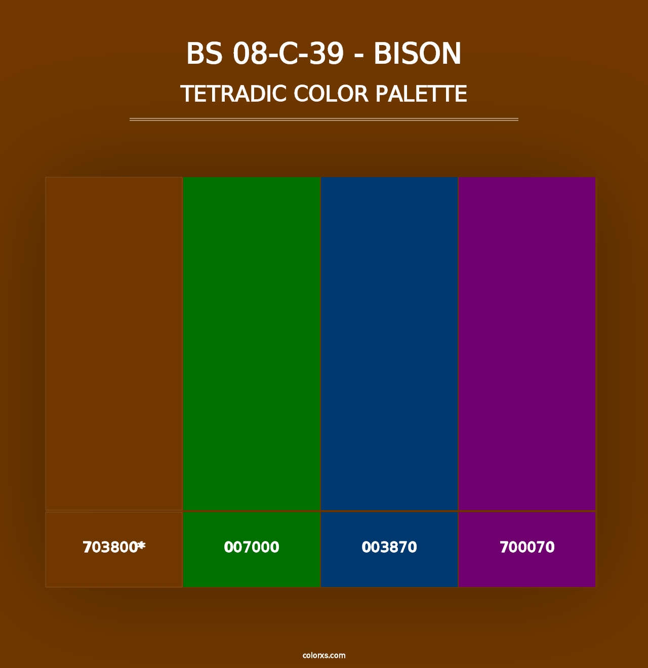 BS 08-C-39 - Bison - Tetradic Color Palette