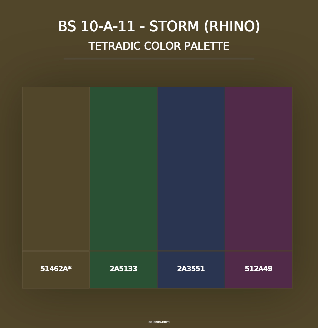 BS 10-A-11 - Storm (Rhino) - Tetradic Color Palette