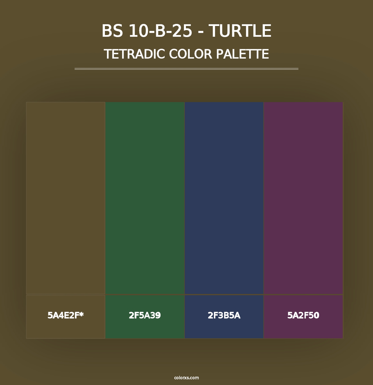 BS 10-B-25 - Turtle - Tetradic Color Palette