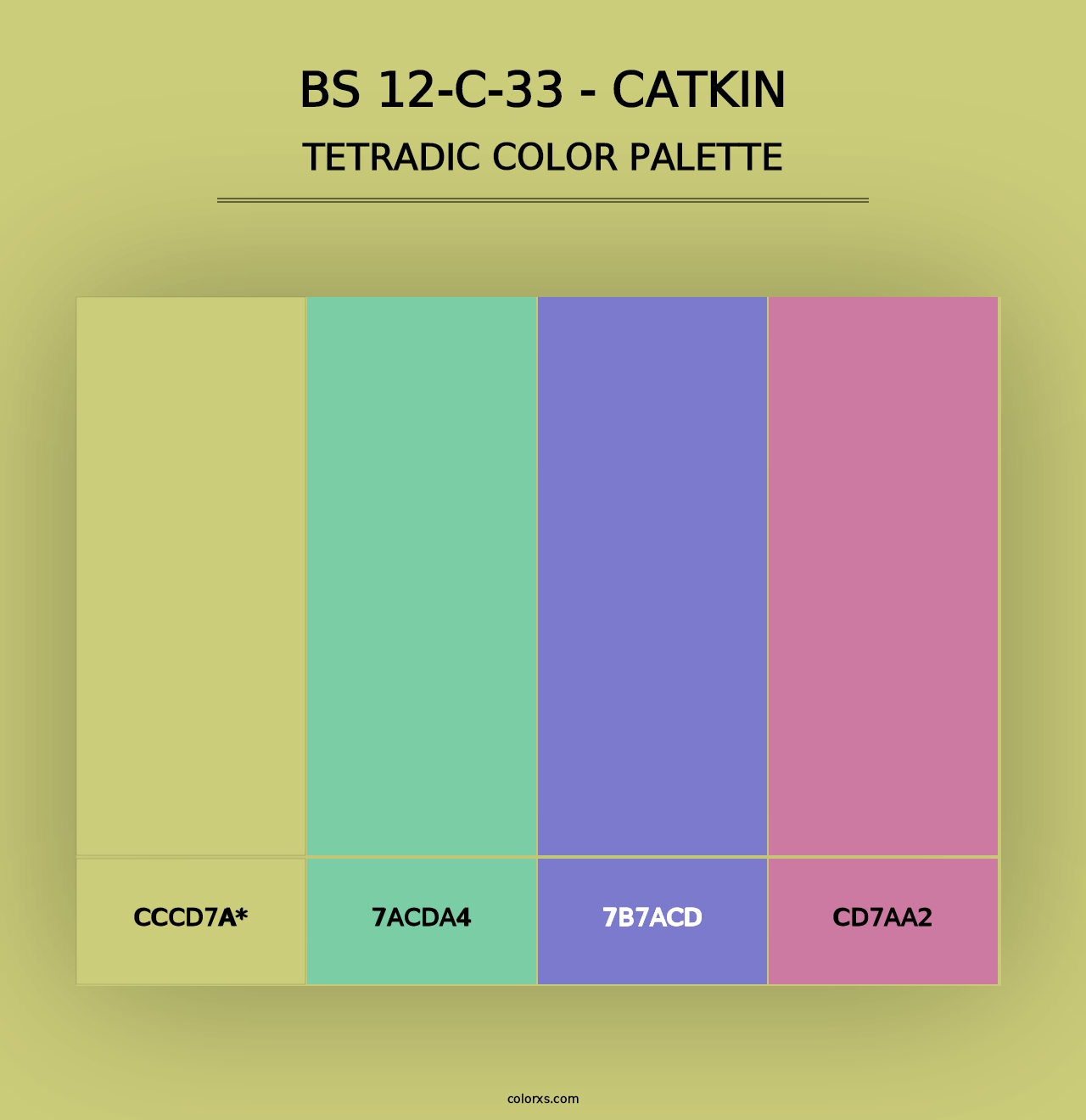 BS 12-C-33 - Catkin - Tetradic Color Palette