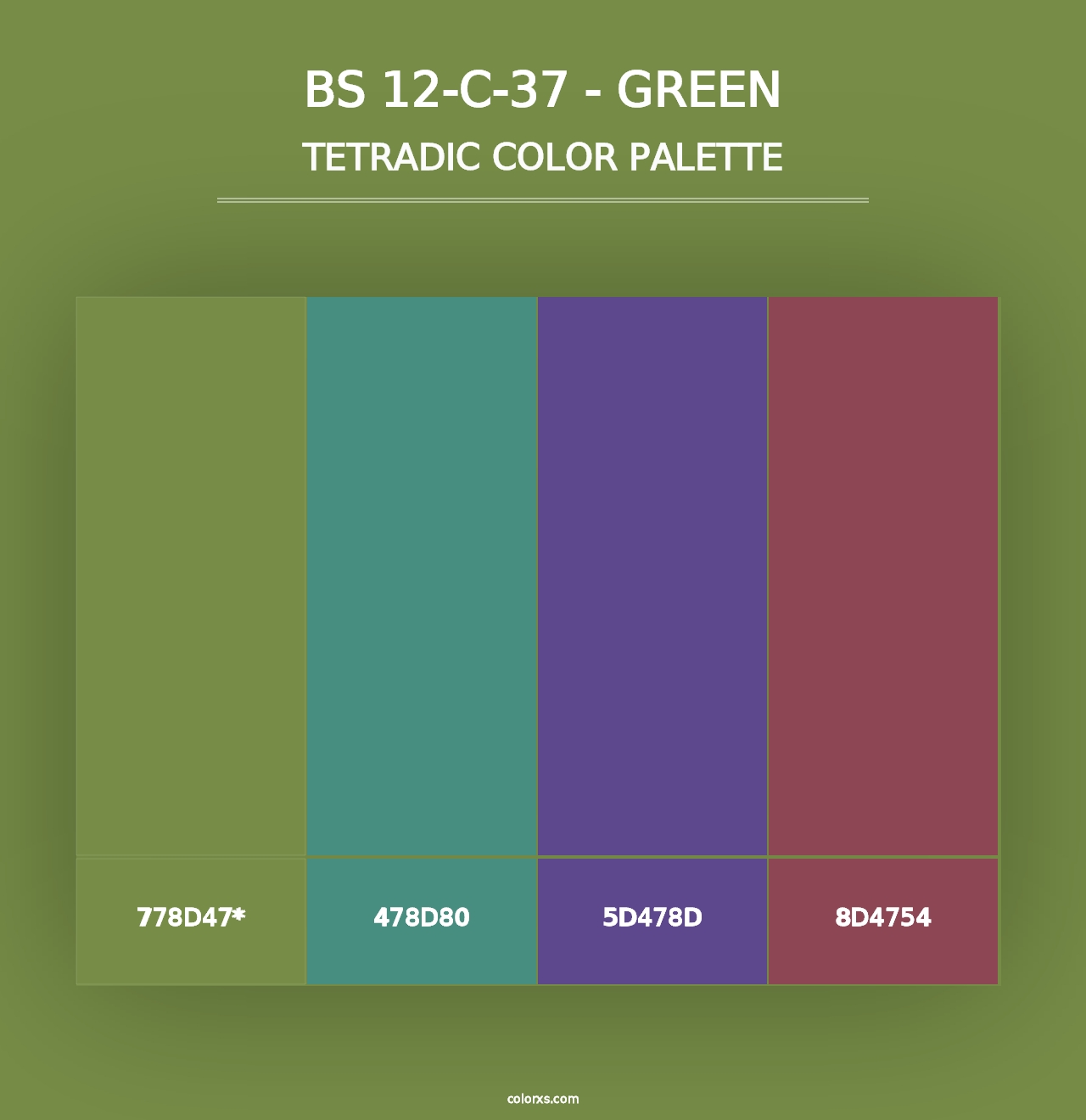 BS 12-C-37 - Green - Tetradic Color Palette