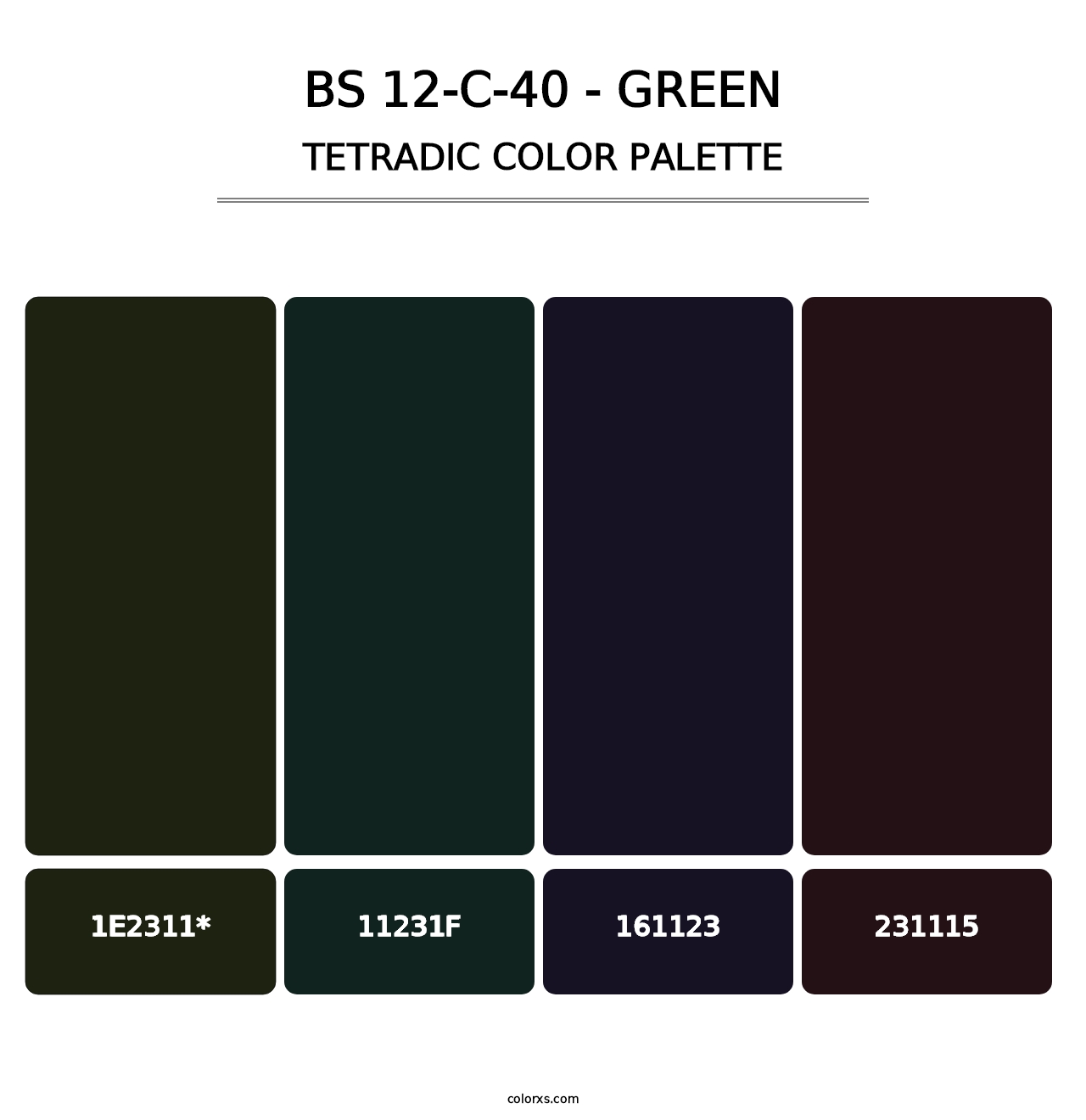 BS 12-C-40 - Green - Tetradic Color Palette