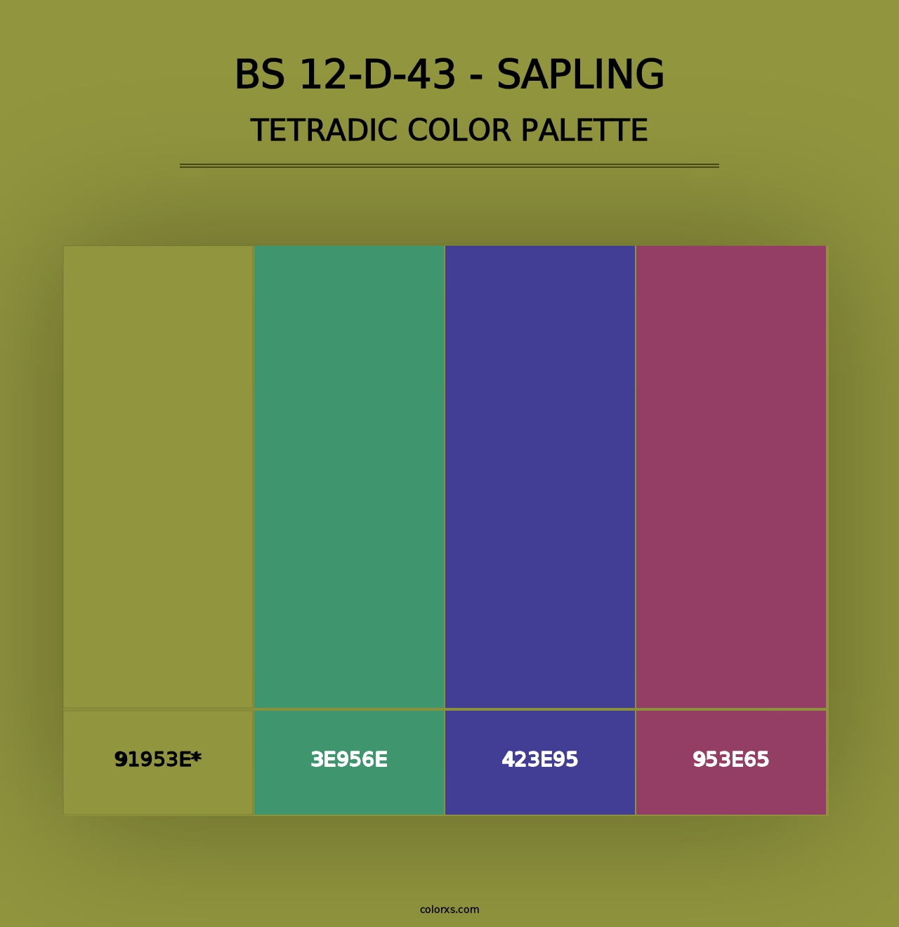 BS 12-D-43 - Sapling - Tetradic Color Palette