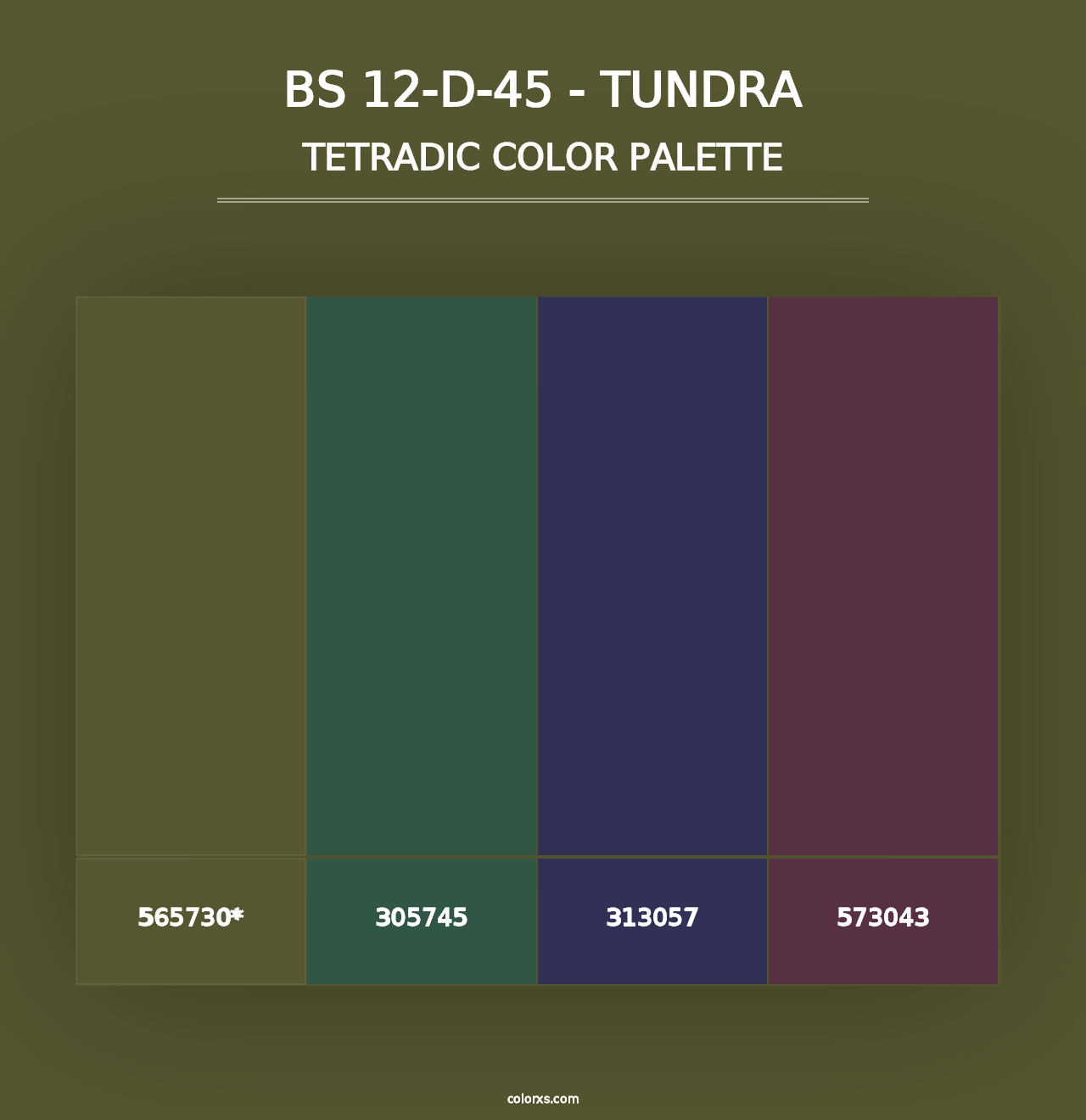 BS 12-D-45 - Tundra - Tetradic Color Palette