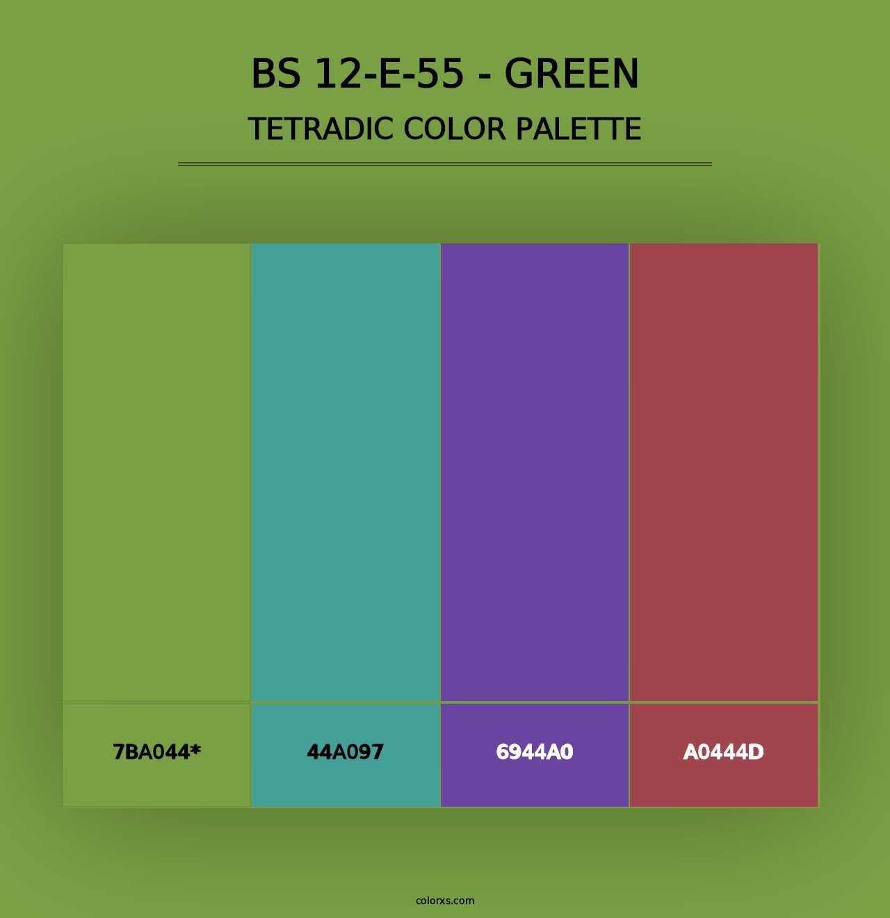 BS 12-E-55 - Green - Tetradic Color Palette