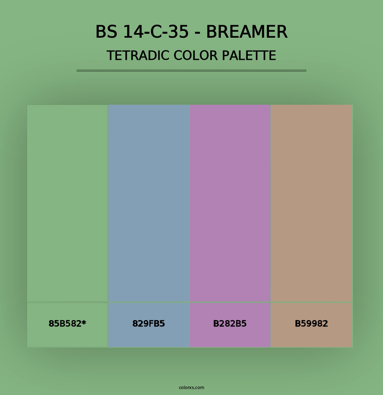 BS 14-C-35 - Breamer - Tetradic Color Palette