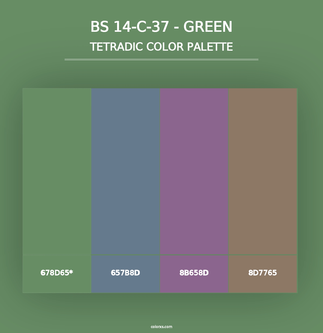 BS 14-C-37 - Green - Tetradic Color Palette