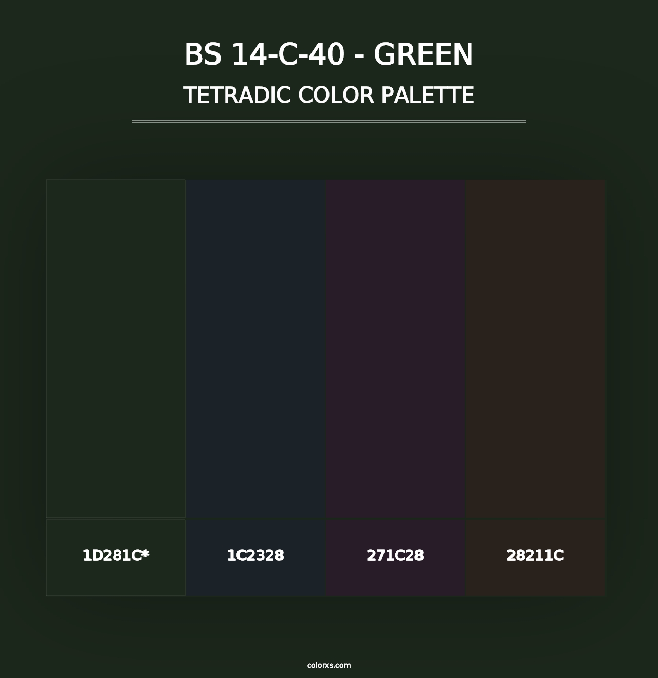 BS 14-C-40 - Green - Tetradic Color Palette