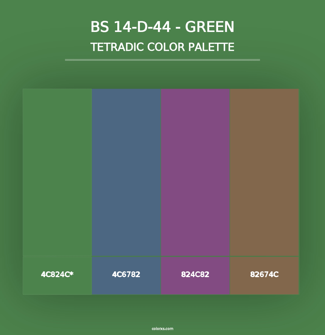 BS 14-D-44 - Green - Tetradic Color Palette