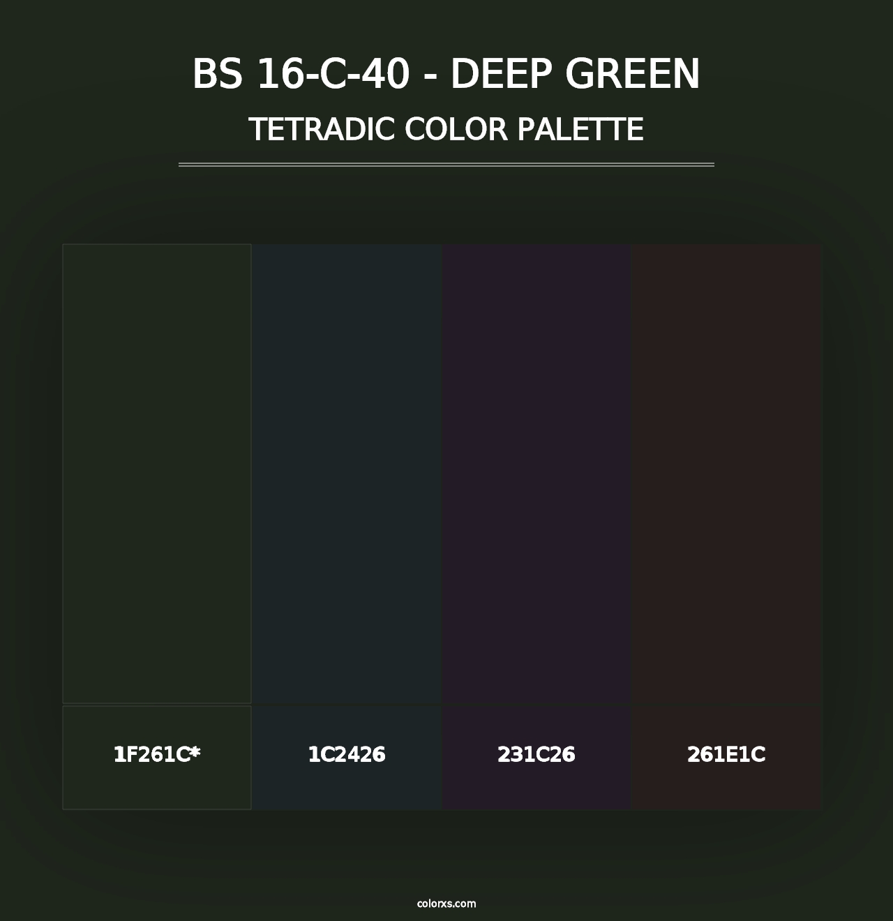 BS 16-C-40 - Deep Green - Tetradic Color Palette