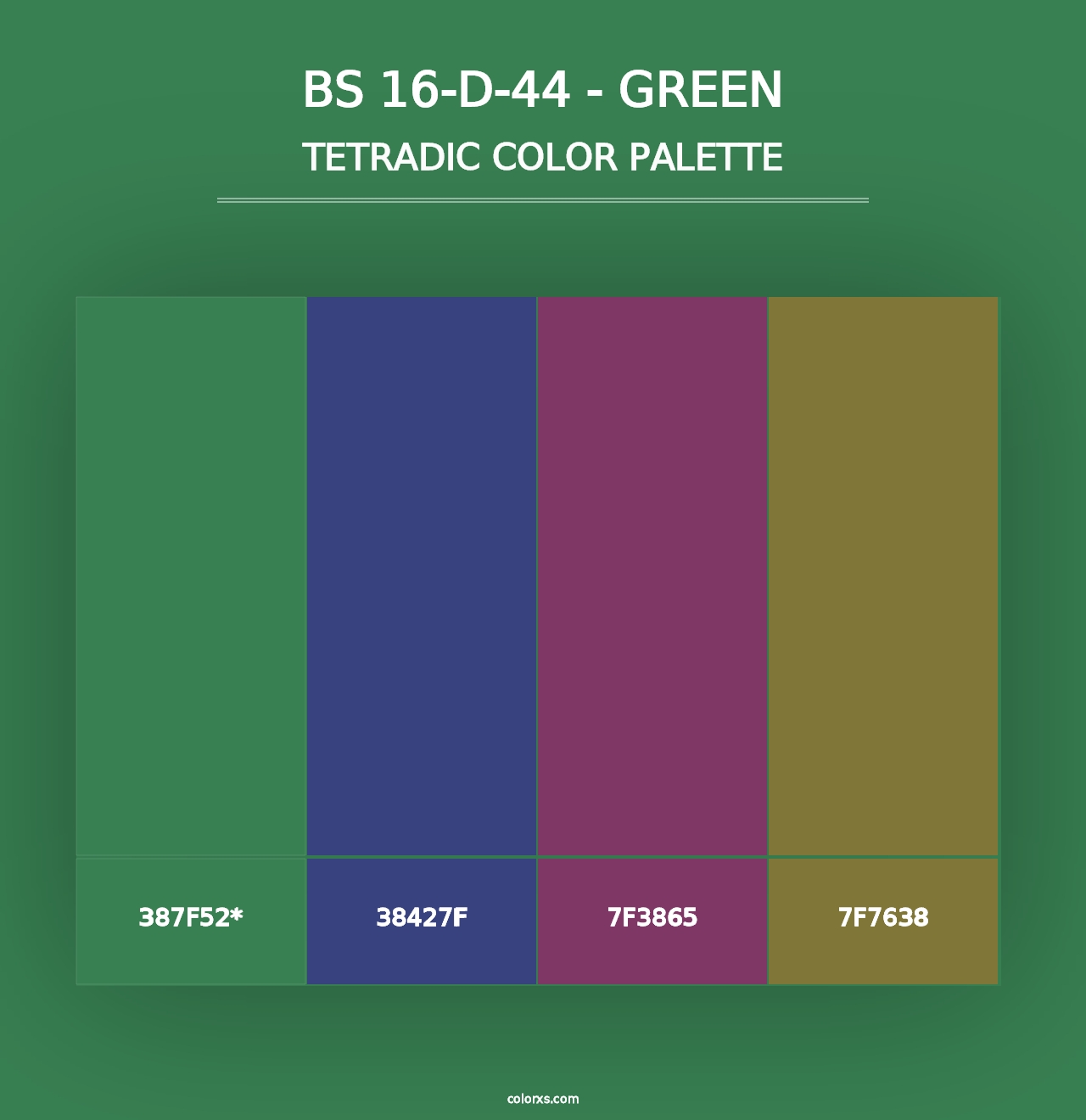 BS 16-D-44 - Green - Tetradic Color Palette