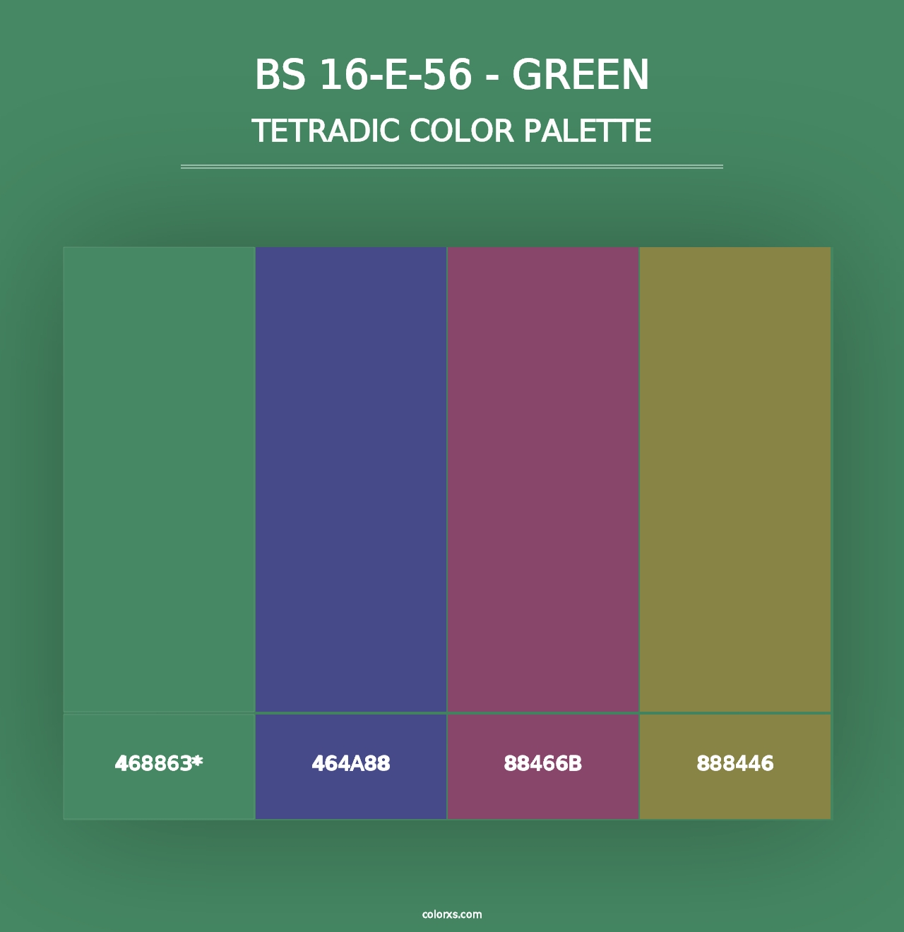 BS 16-E-56 - Green - Tetradic Color Palette