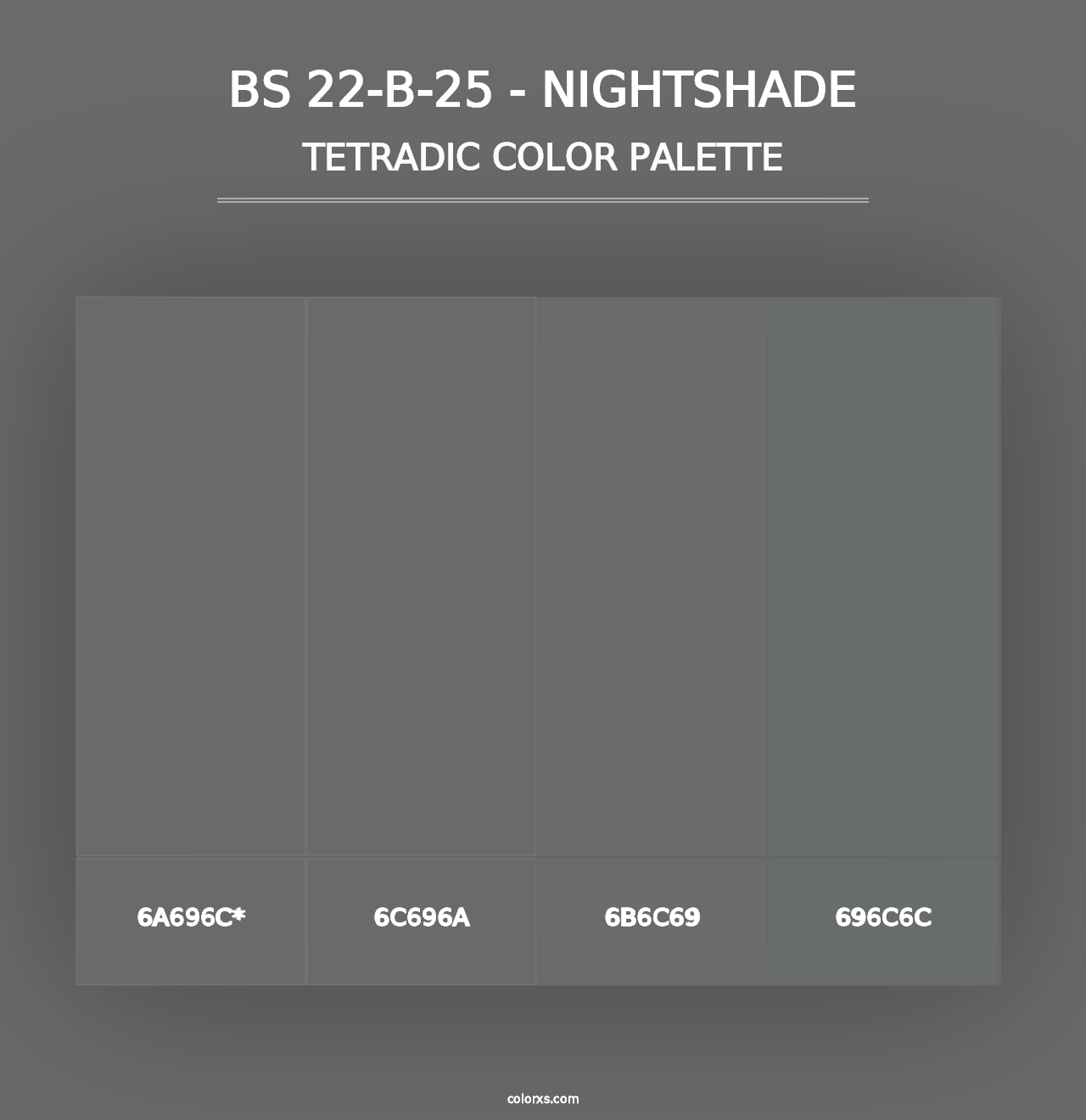 BS 22-B-25 - Nightshade - Tetradic Color Palette