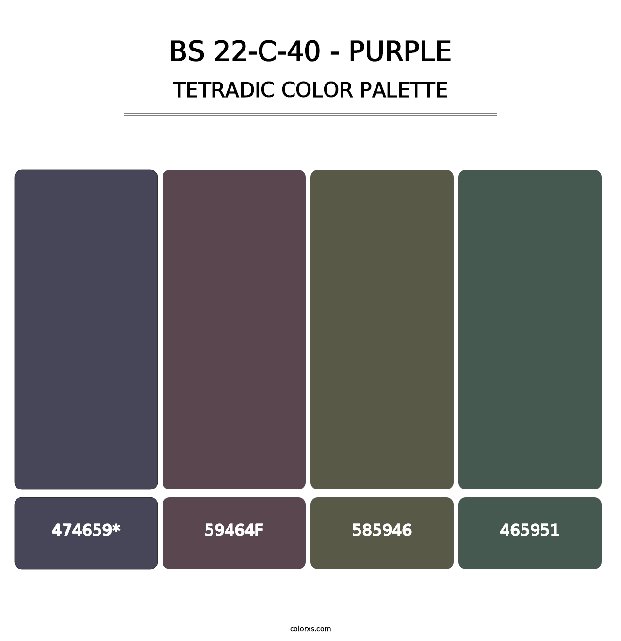 BS 22-C-40 - Purple - Tetradic Color Palette