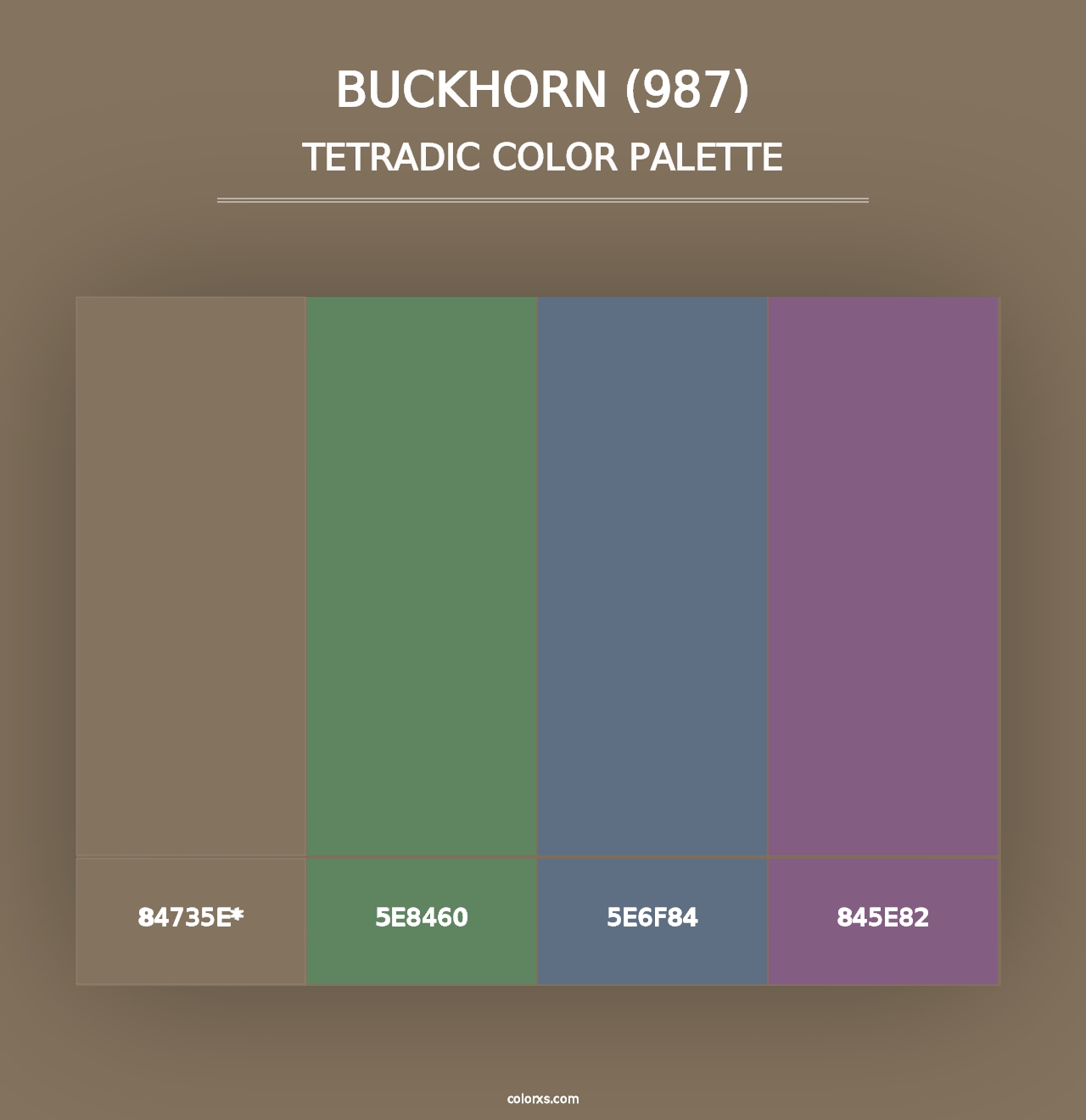 Buckhorn (987) - Tetradic Color Palette