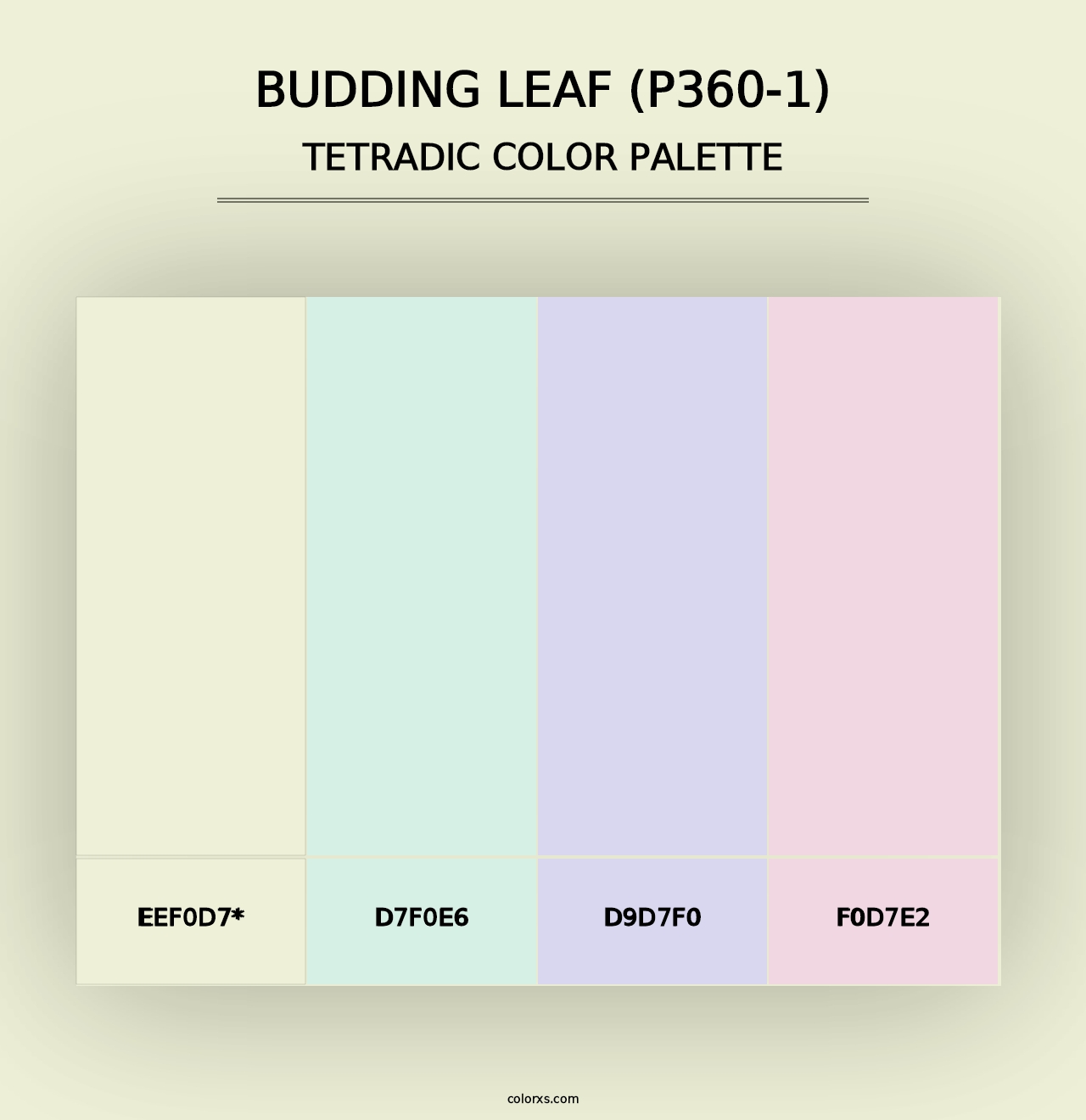 Budding Leaf (P360-1) - Tetradic Color Palette