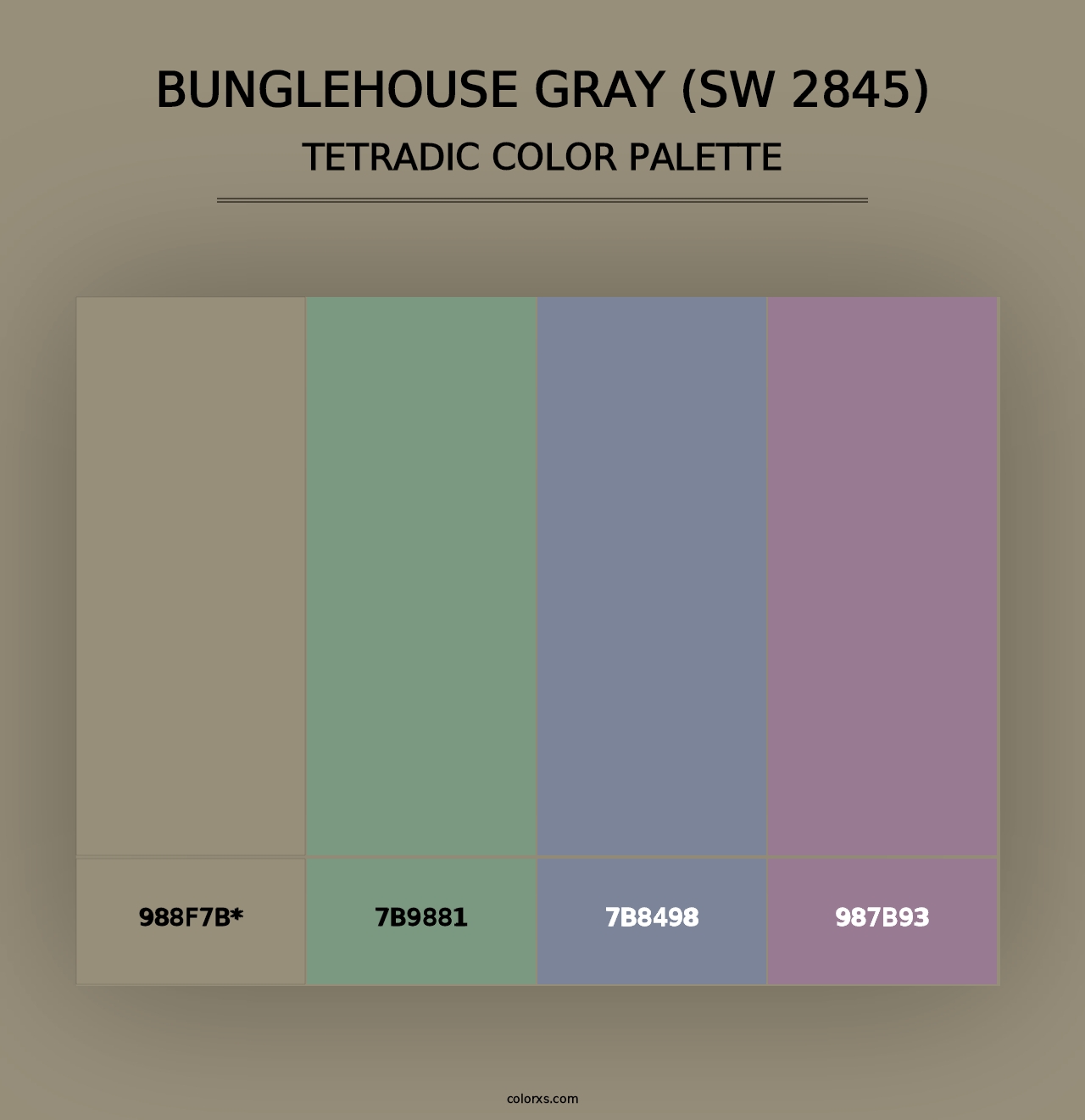 Bunglehouse Gray (SW 2845) - Tetradic Color Palette