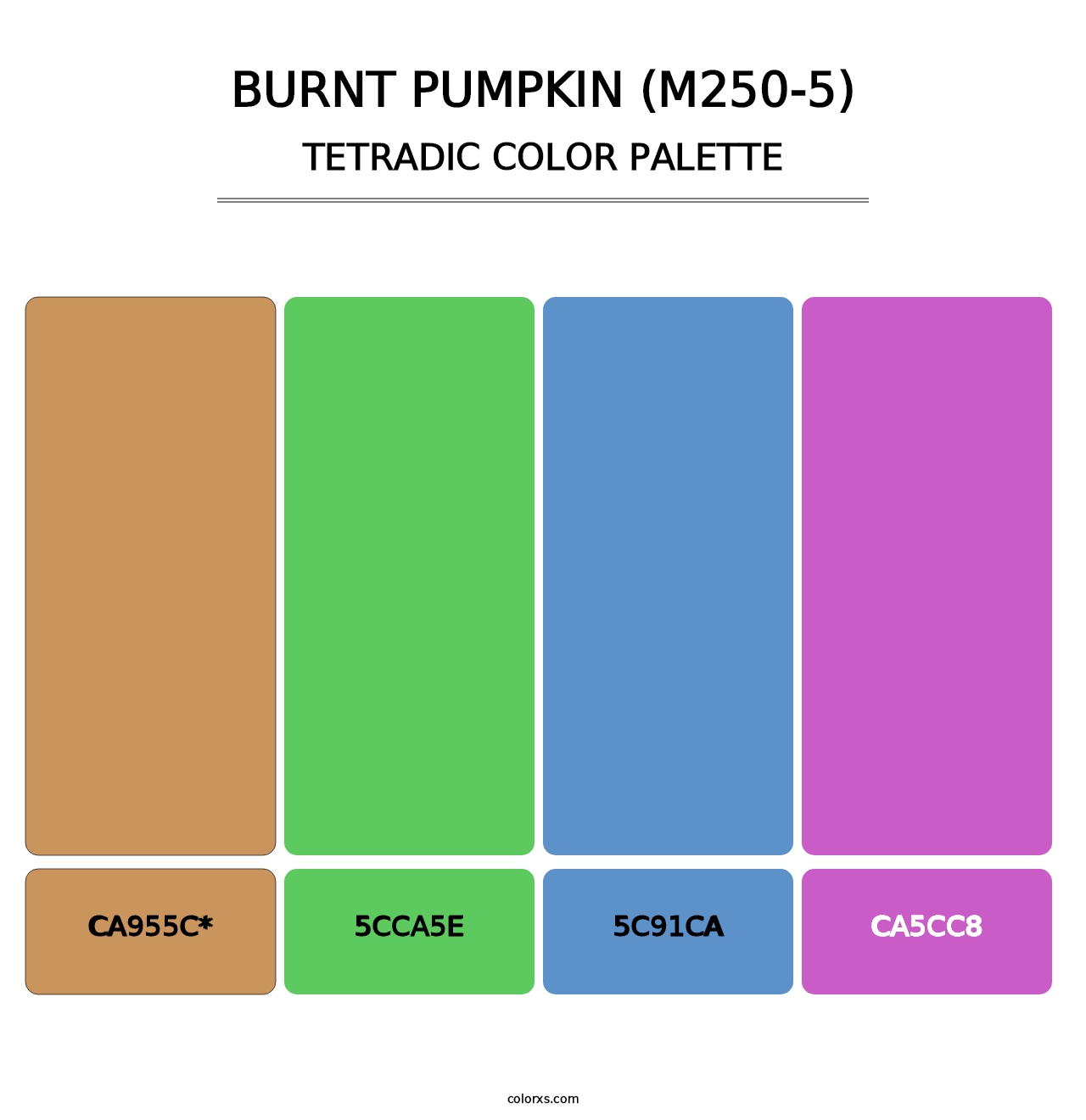 Burnt Pumpkin (M250-5) - Tetradic Color Palette